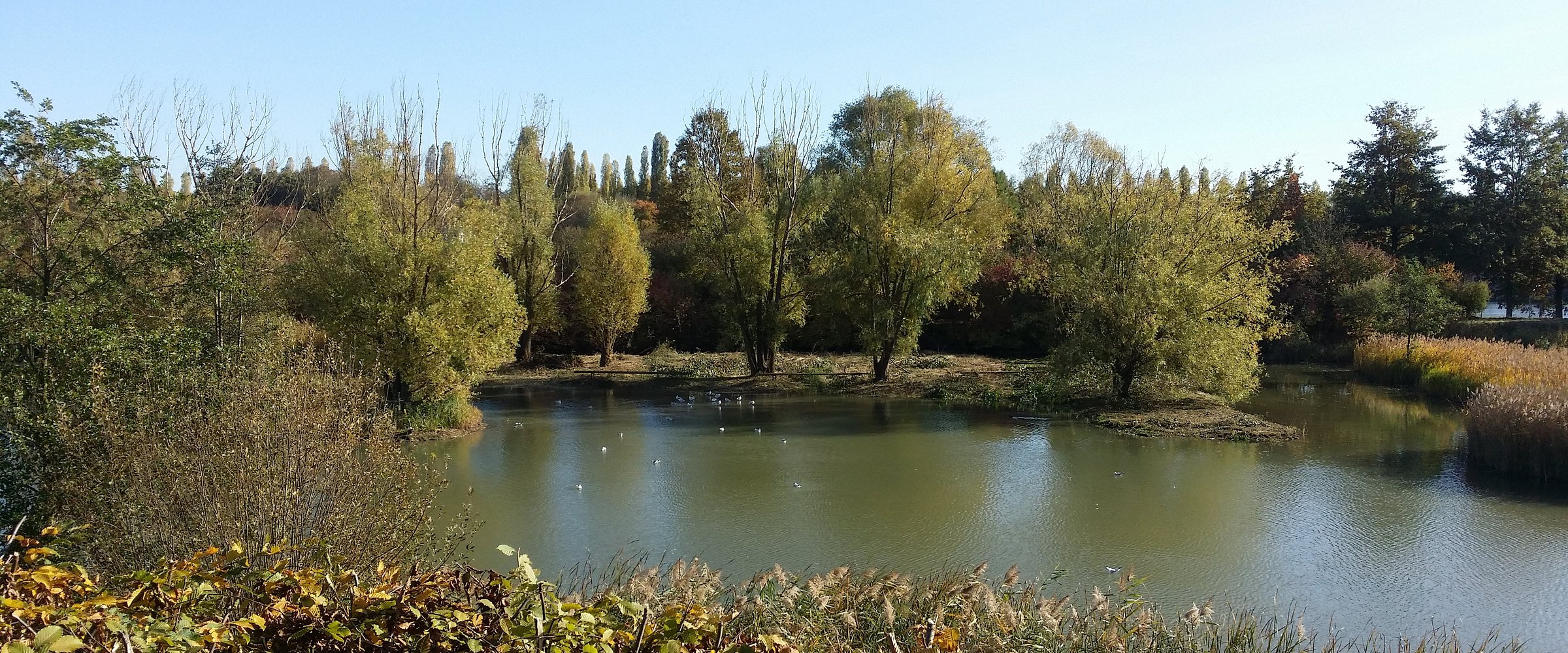 Aulnay-sous-Bois: A Suburban Gem in the Heart of Seine-Saint-Denis