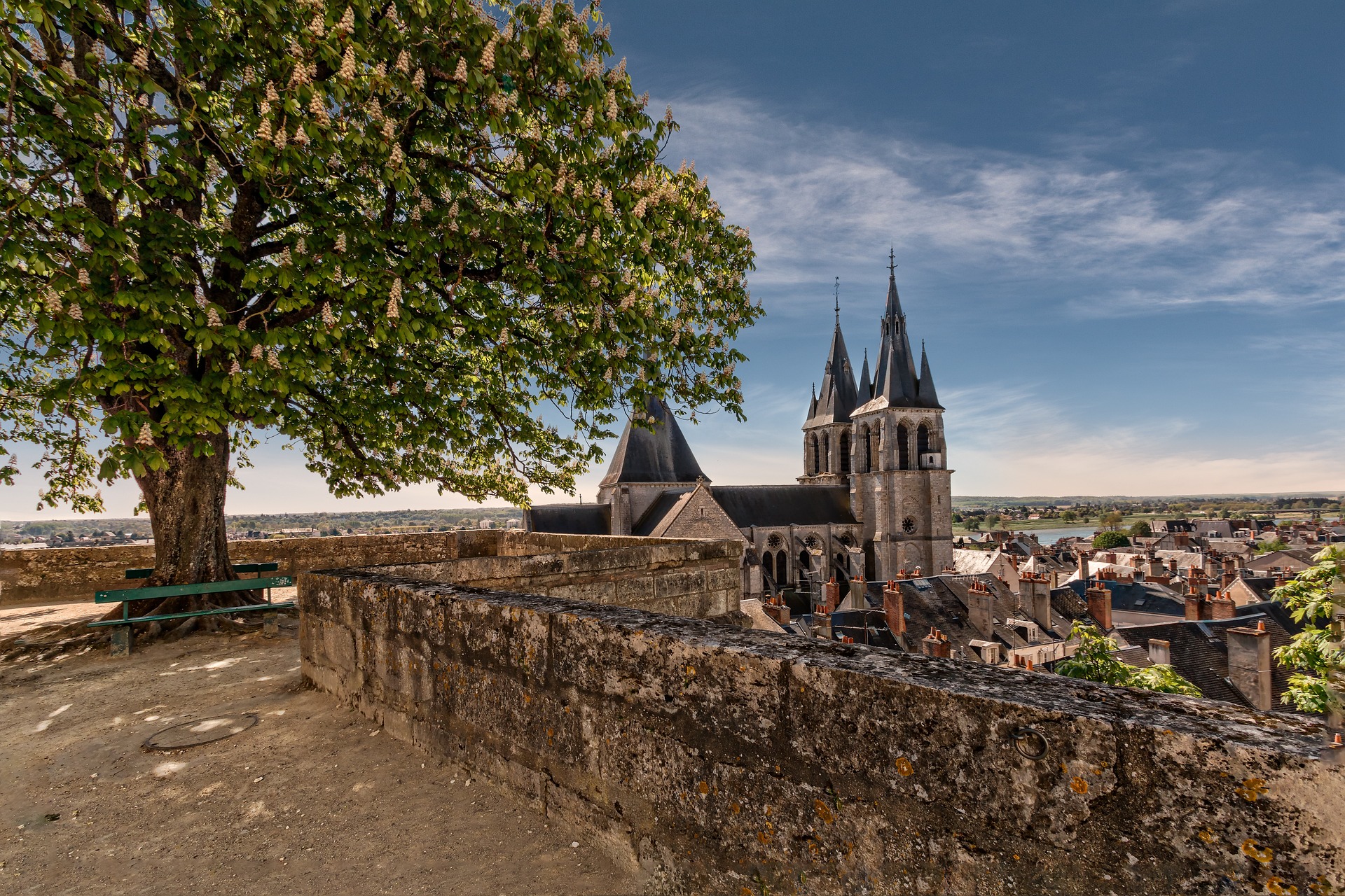 Blois: A Royal Gem on the Loire
