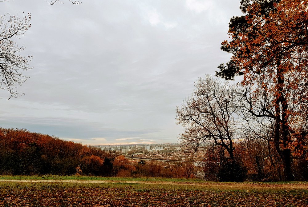 Cenon: A Hidden Gem on the Right Bank of Bordeaux