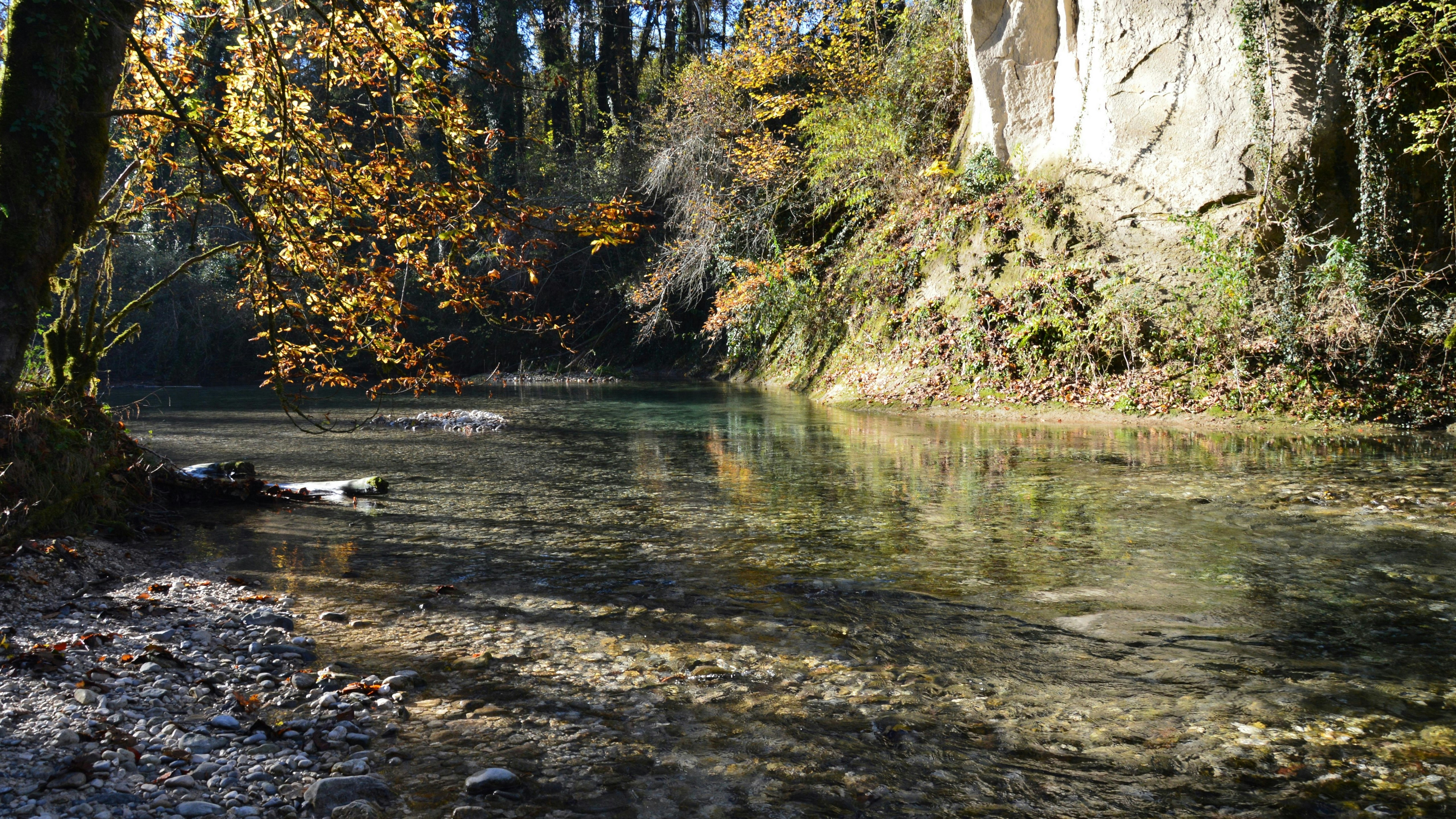 Cholet: A Tapestry of Industry and Culture in Western France