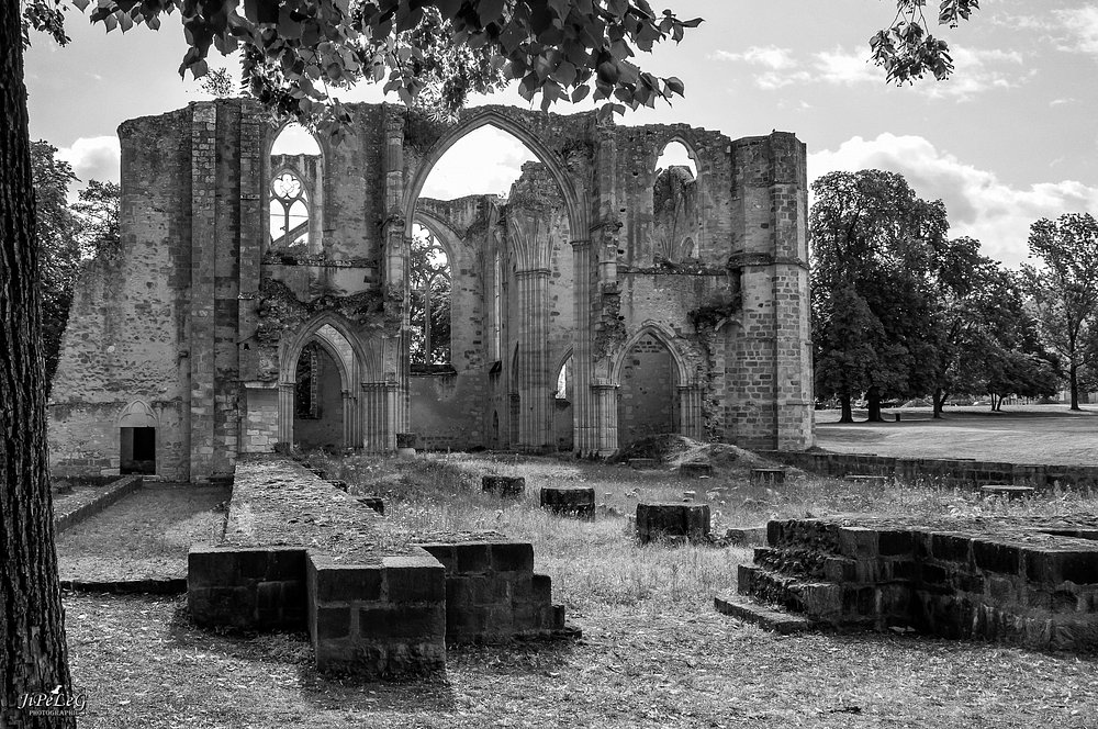 Dammarie-les-Lys: A Hidden Gem in the Heart of France