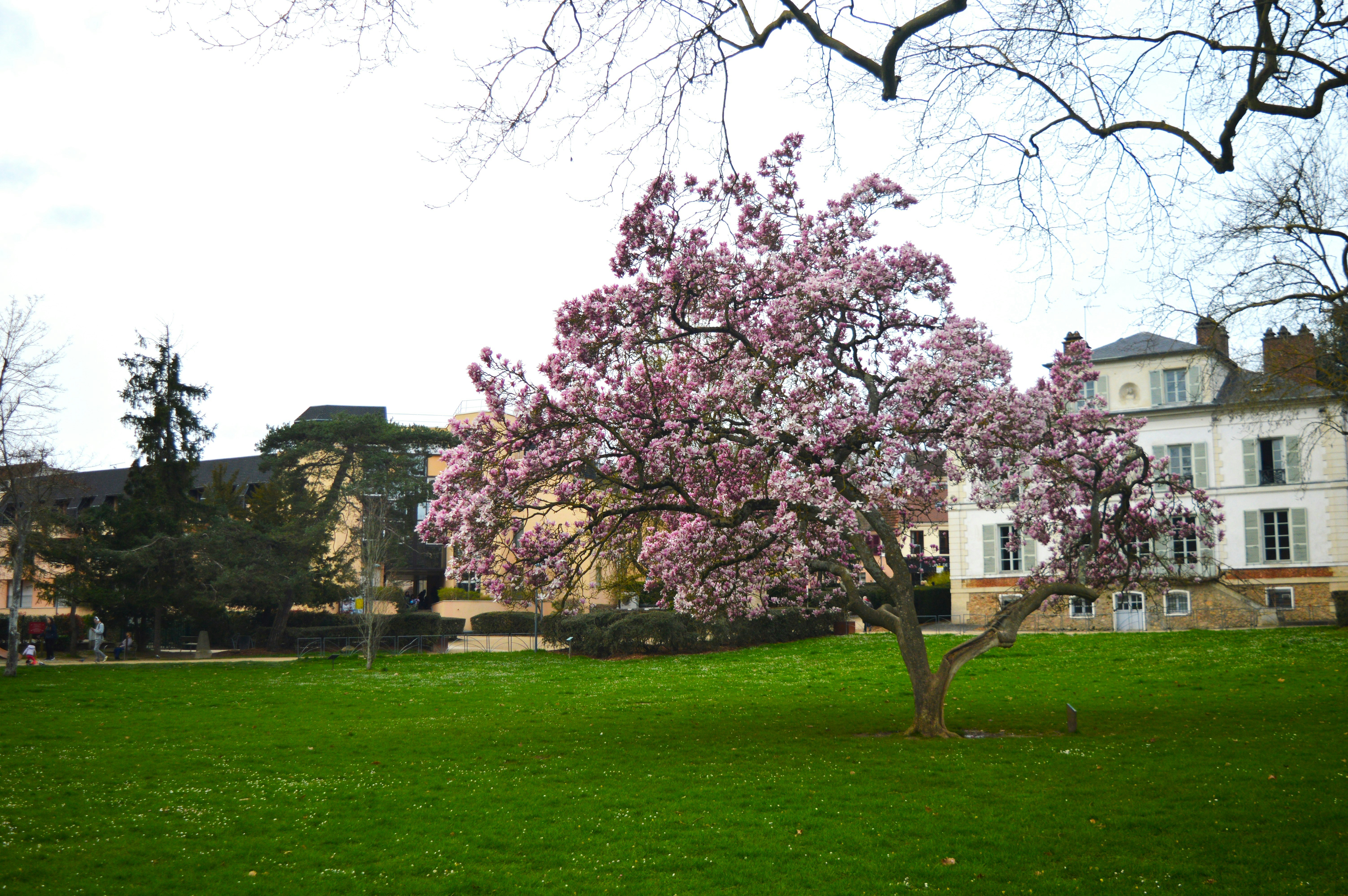 Gif-sur-Yvette: A Haven of Science and Serenity