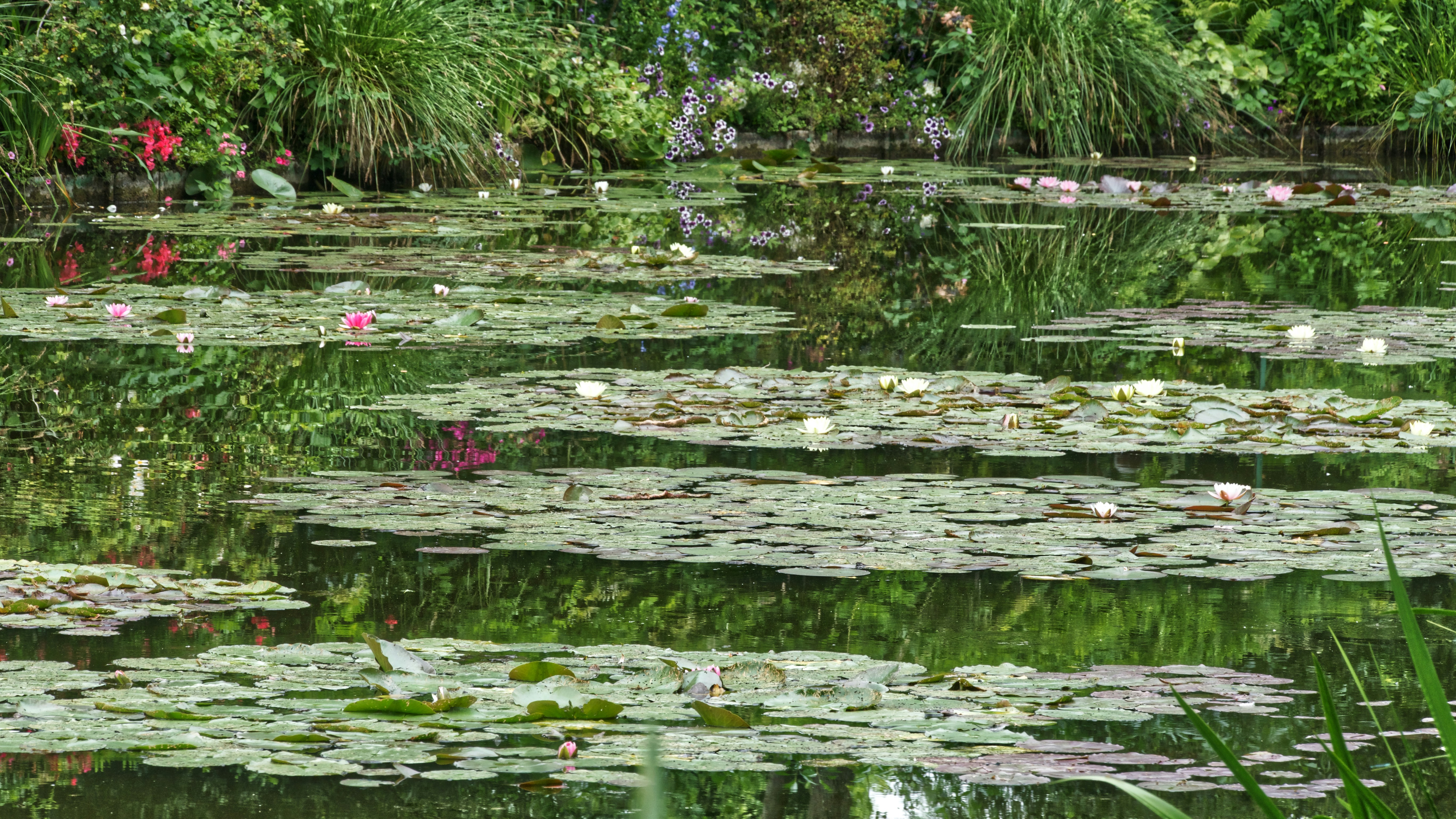 Giverny: A Canvas of Nature and Art