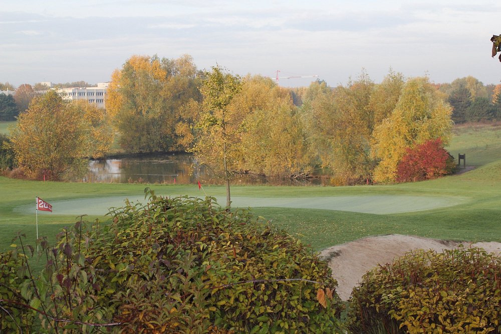 Gonesse: A Tapestry of History and Modernity