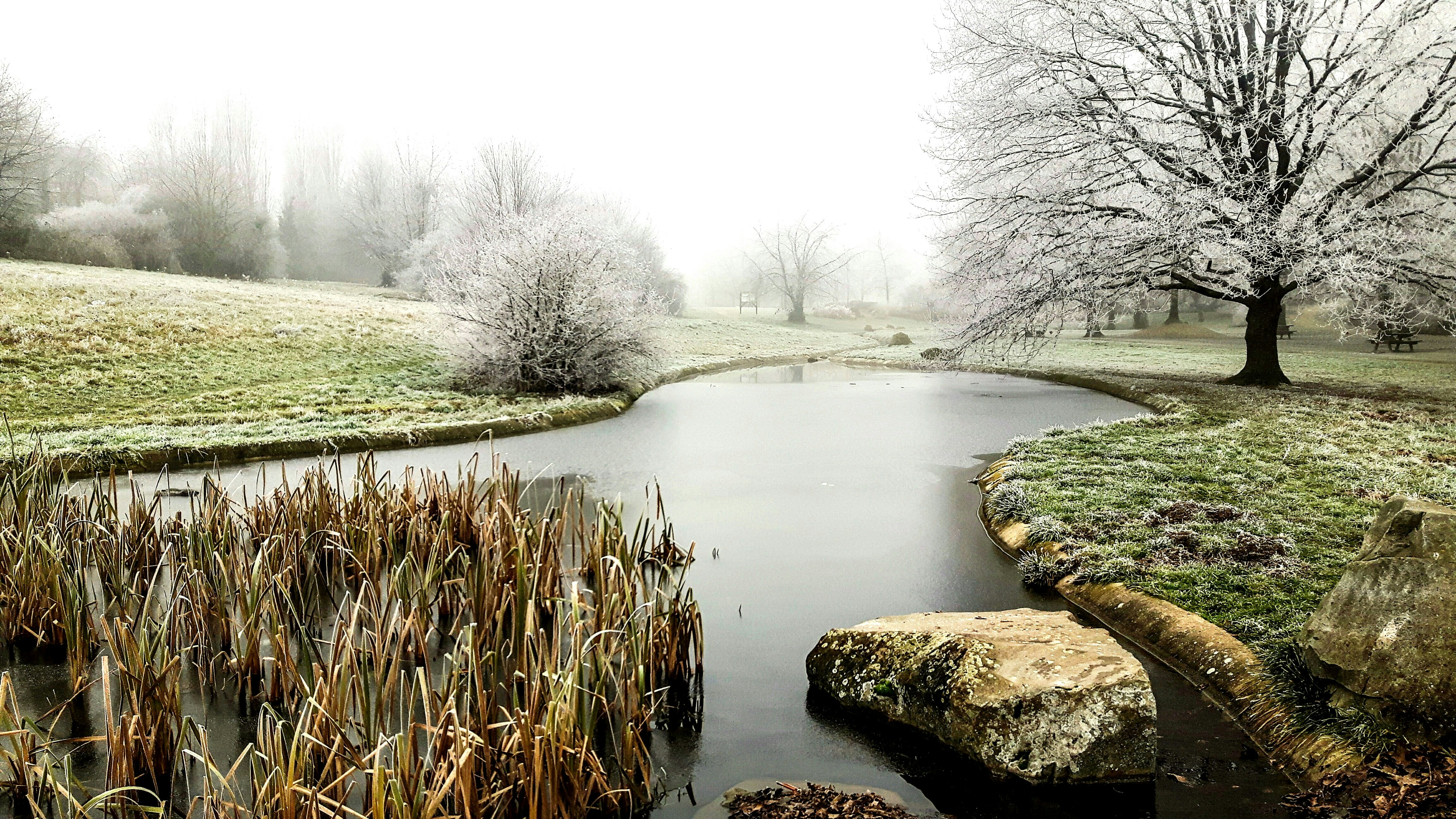 Guyancourt: A Modern Gem in the Heart of Yvelines