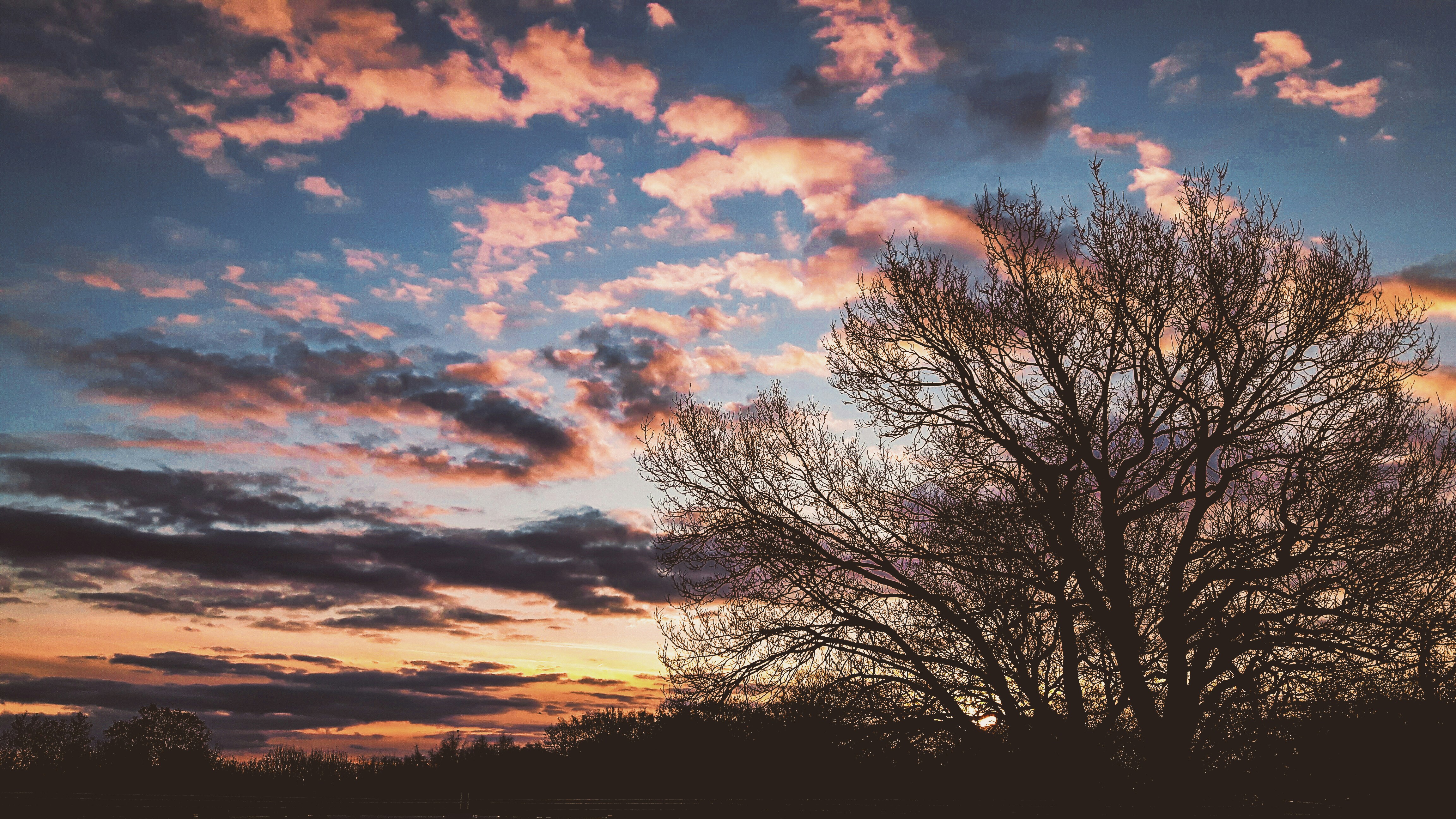 Guyancourt: A Modern Gem in the Heart of Yvelines