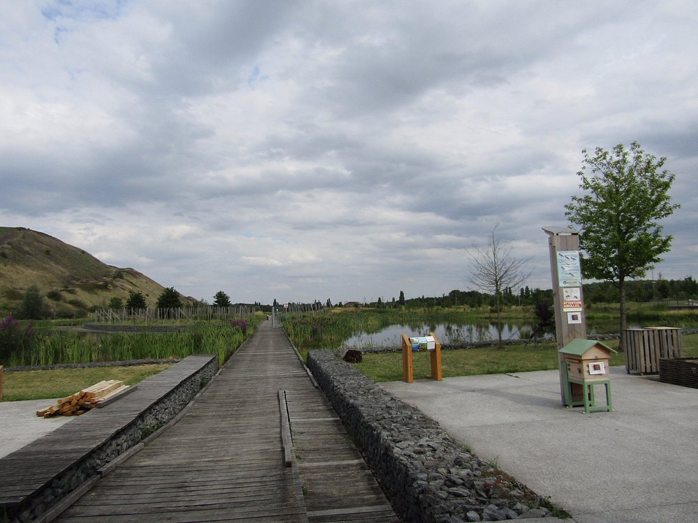 Henin-Beaumont: A Glimpse into Northern France's Industrial Heritage