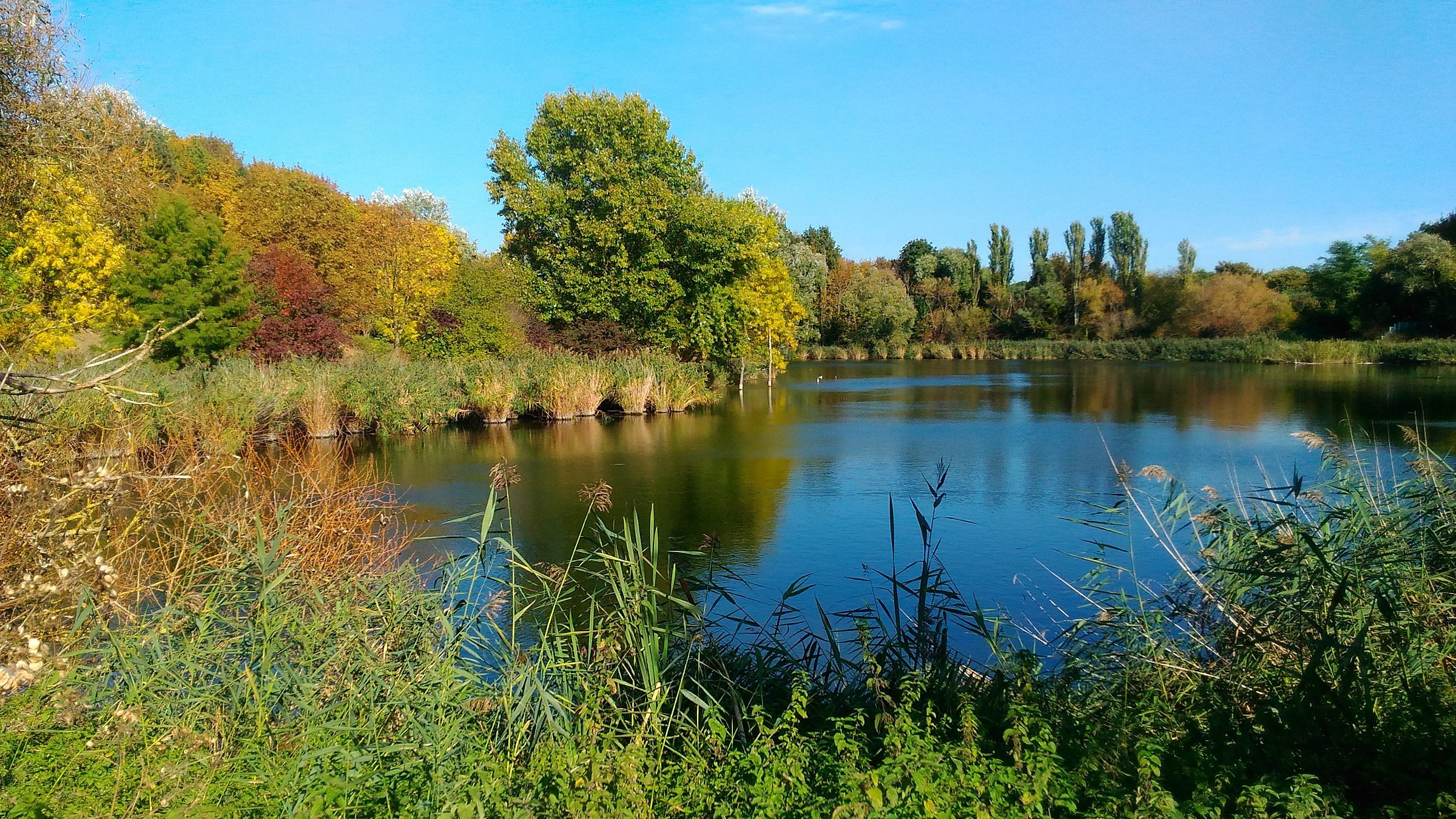 La Courneuve: A Tapestry of Urban Renewal and Cultural Diversity