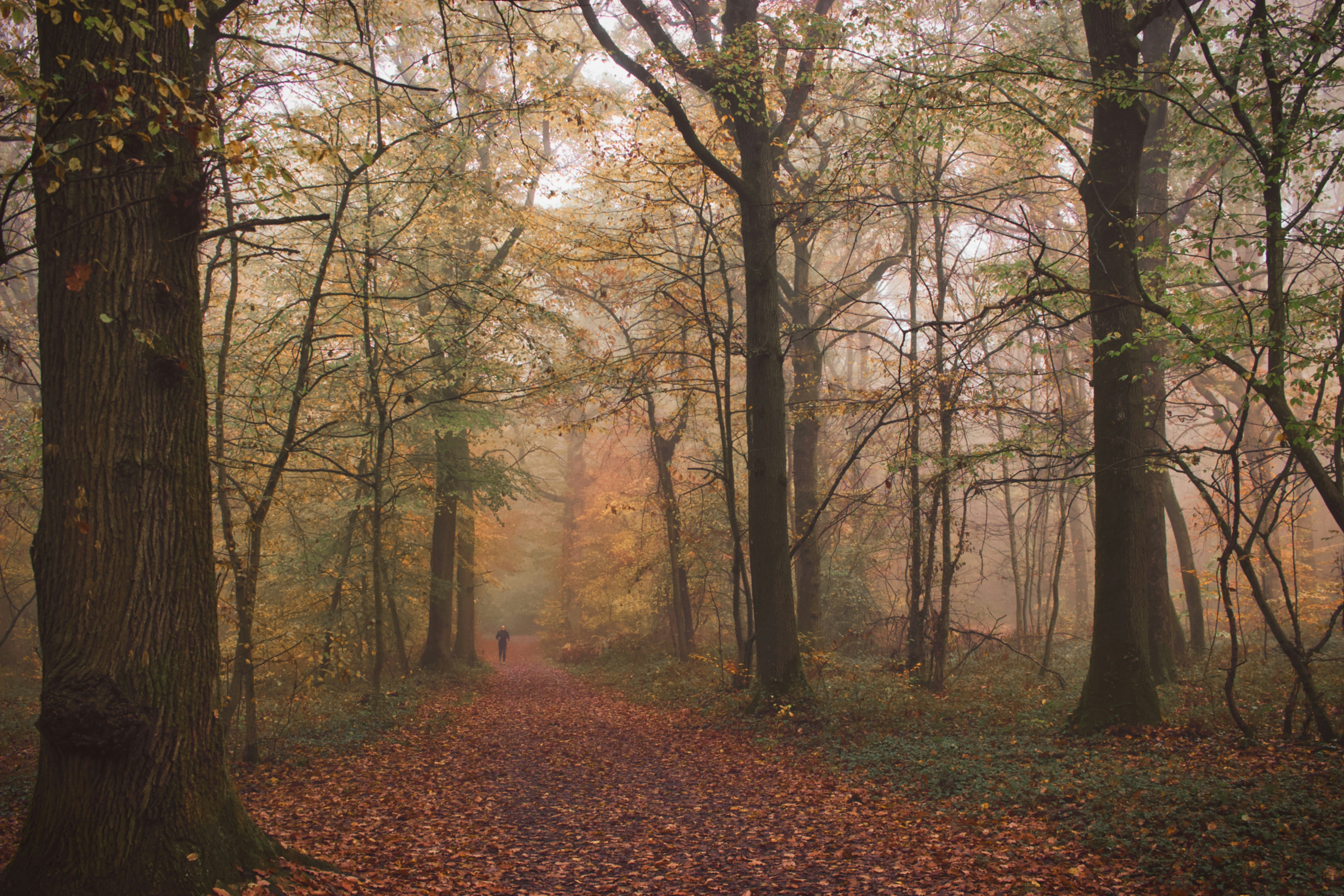 Montigny-le-Bretonneux: A Modern Gem in Île-de-France