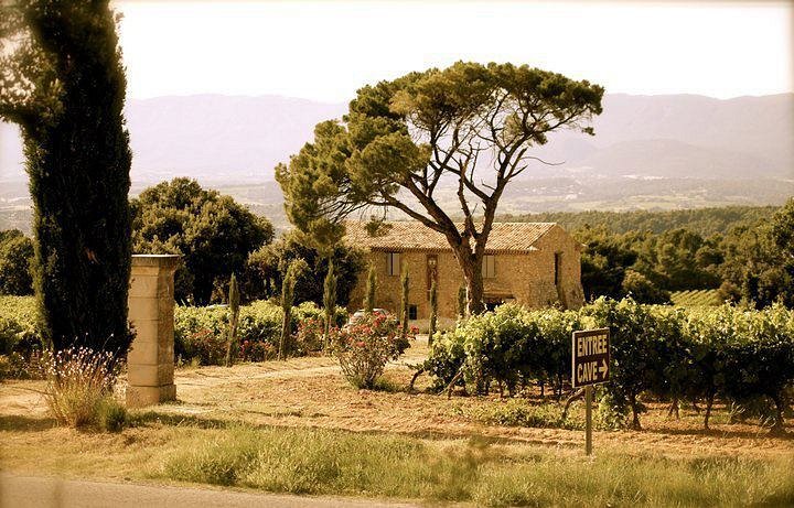 Pertuis: A Hidden Gem in the Heart of Provence