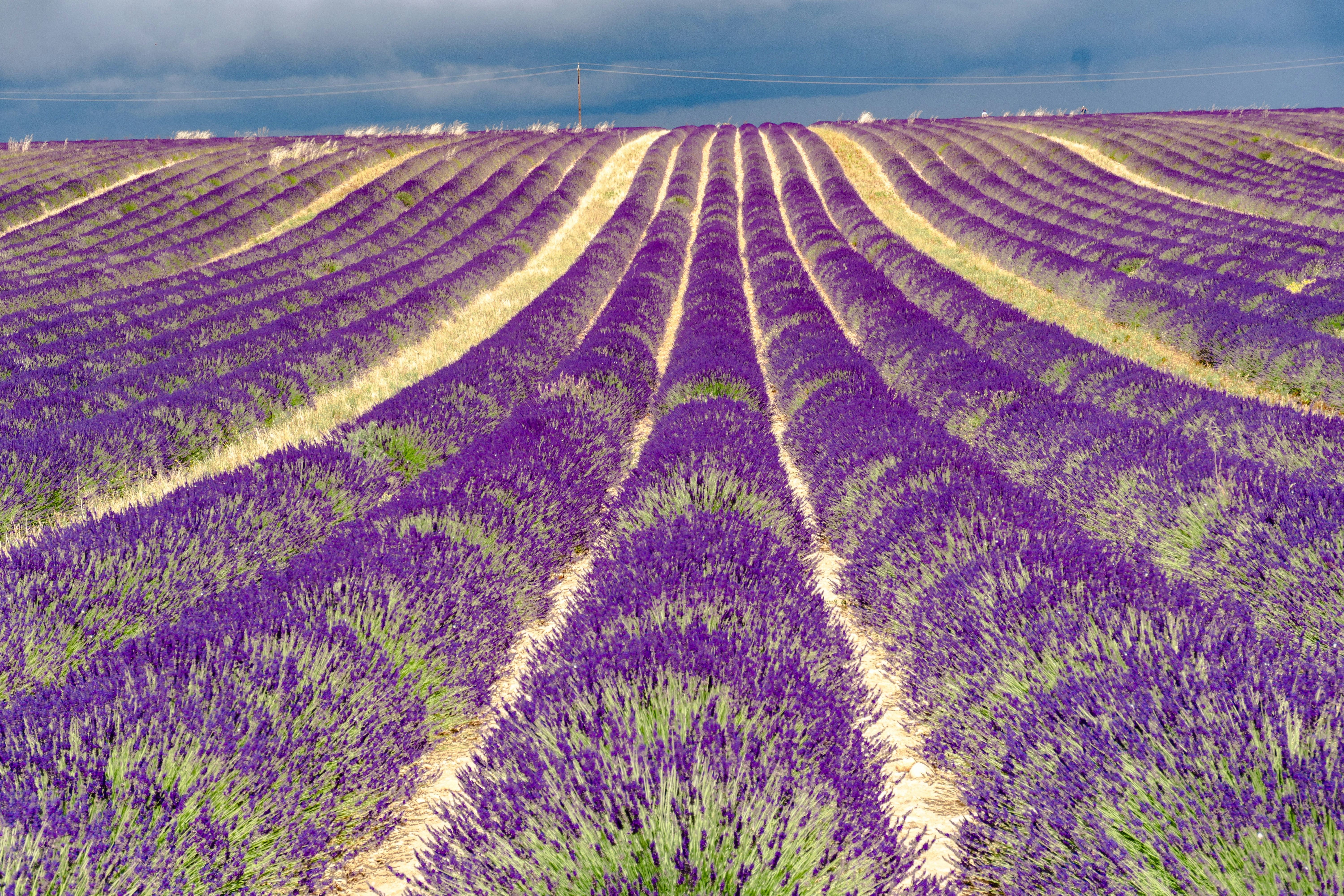 Provence: A Sensory Journey Through Southern France