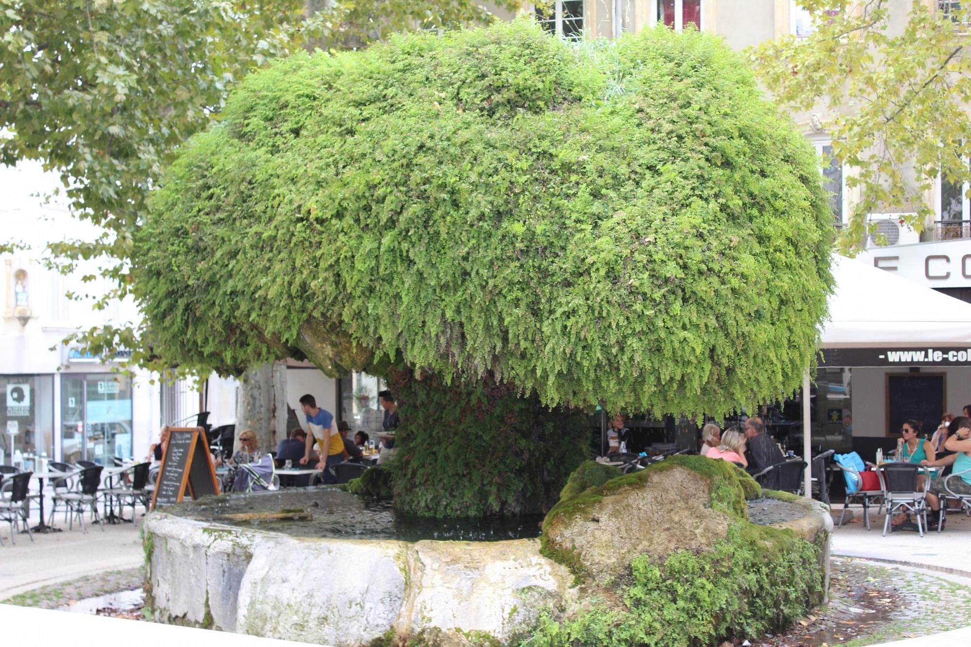 Salon-de-Provence: A Tapestry of History and Sensory Delights