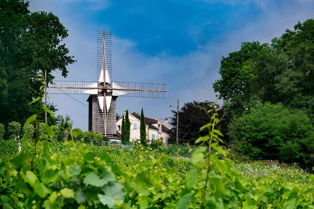 Sannois: A Hidden Gem in the Parisian Suburbs