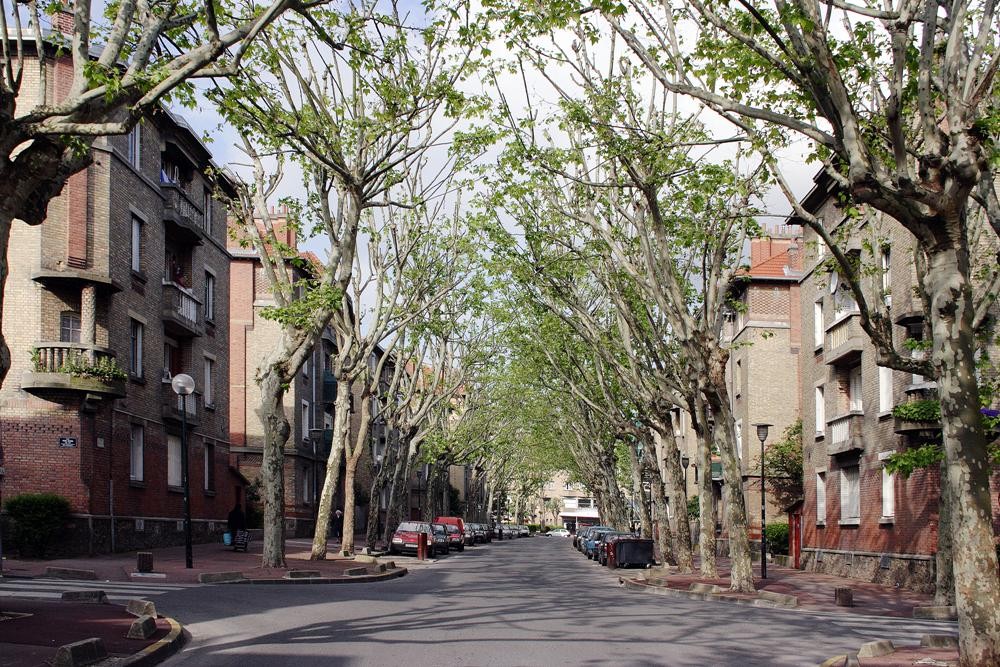 Stains: A Tapestry of Urban Renewal and Cultural Diversity