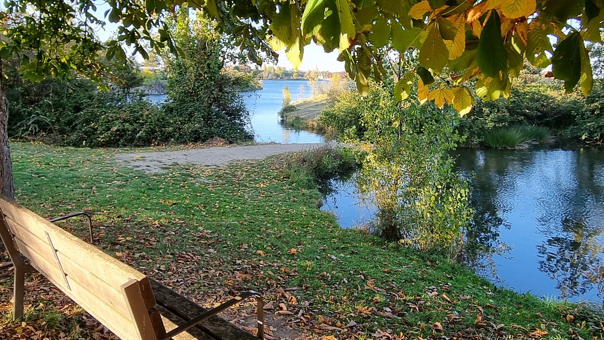 Tournefeuille: A Charming Blend of Urban and Rural France