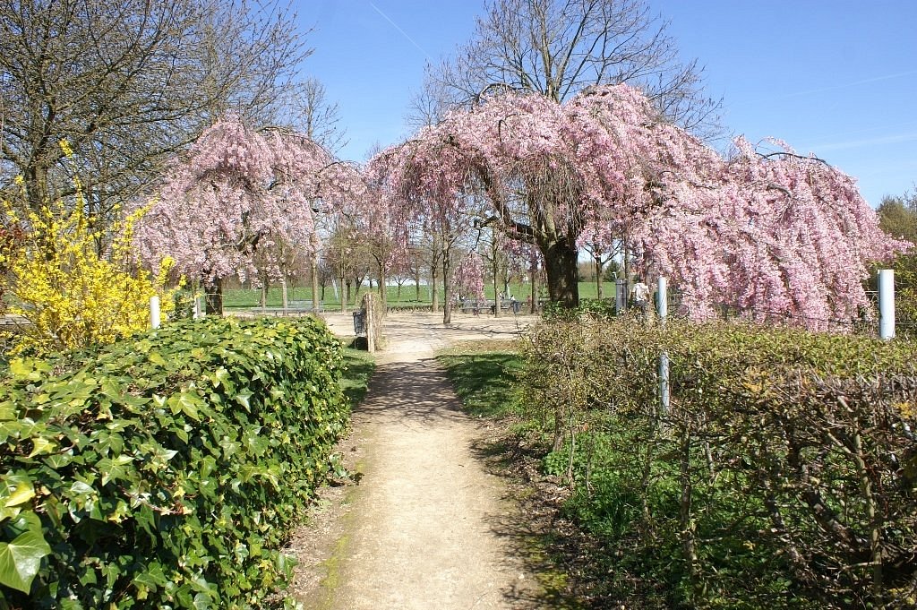 Villejuif: A Blend of Urban Progress and Cultural Heritage