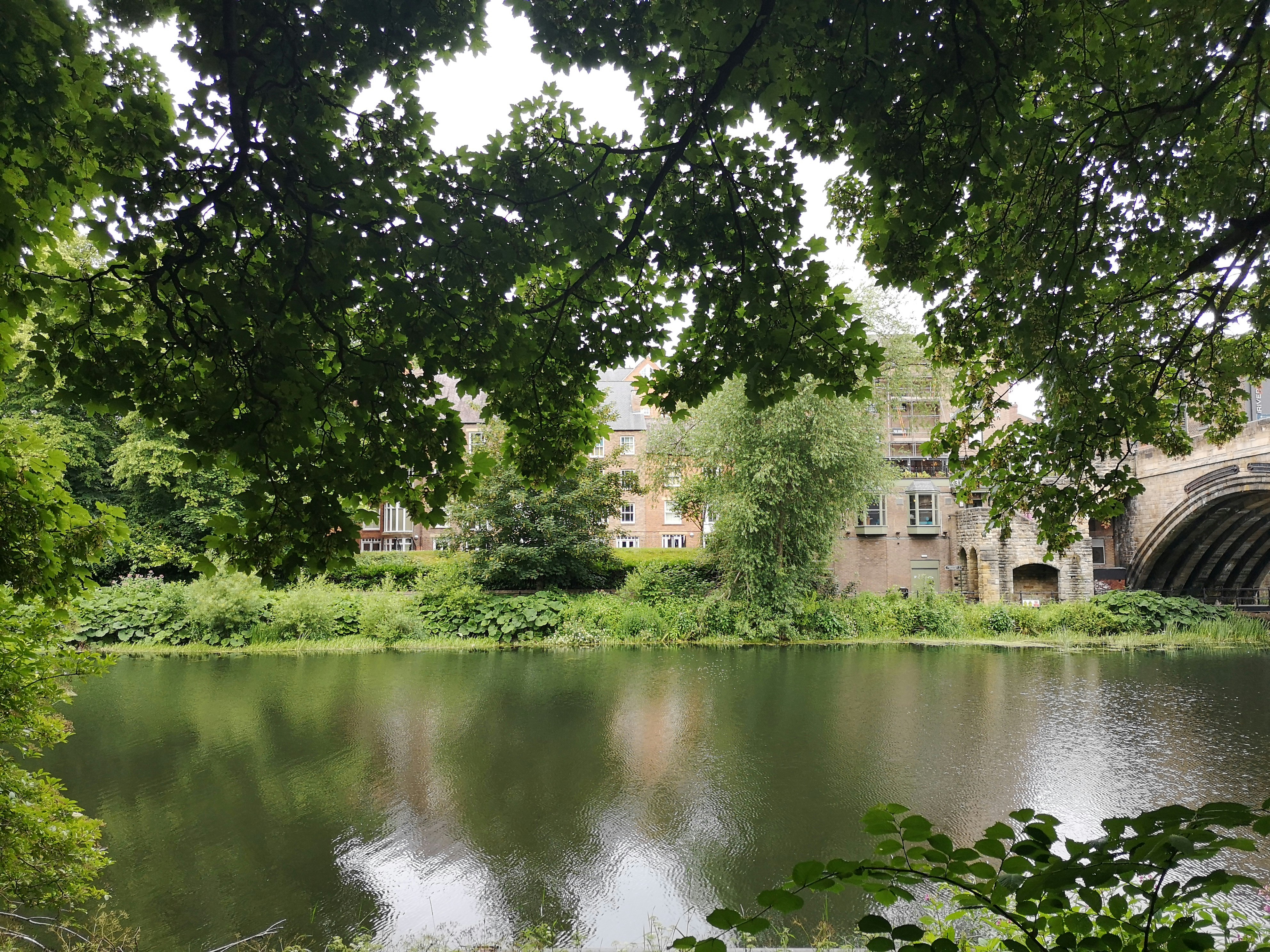 Durham: Where Cathedral Stones Tell Stories