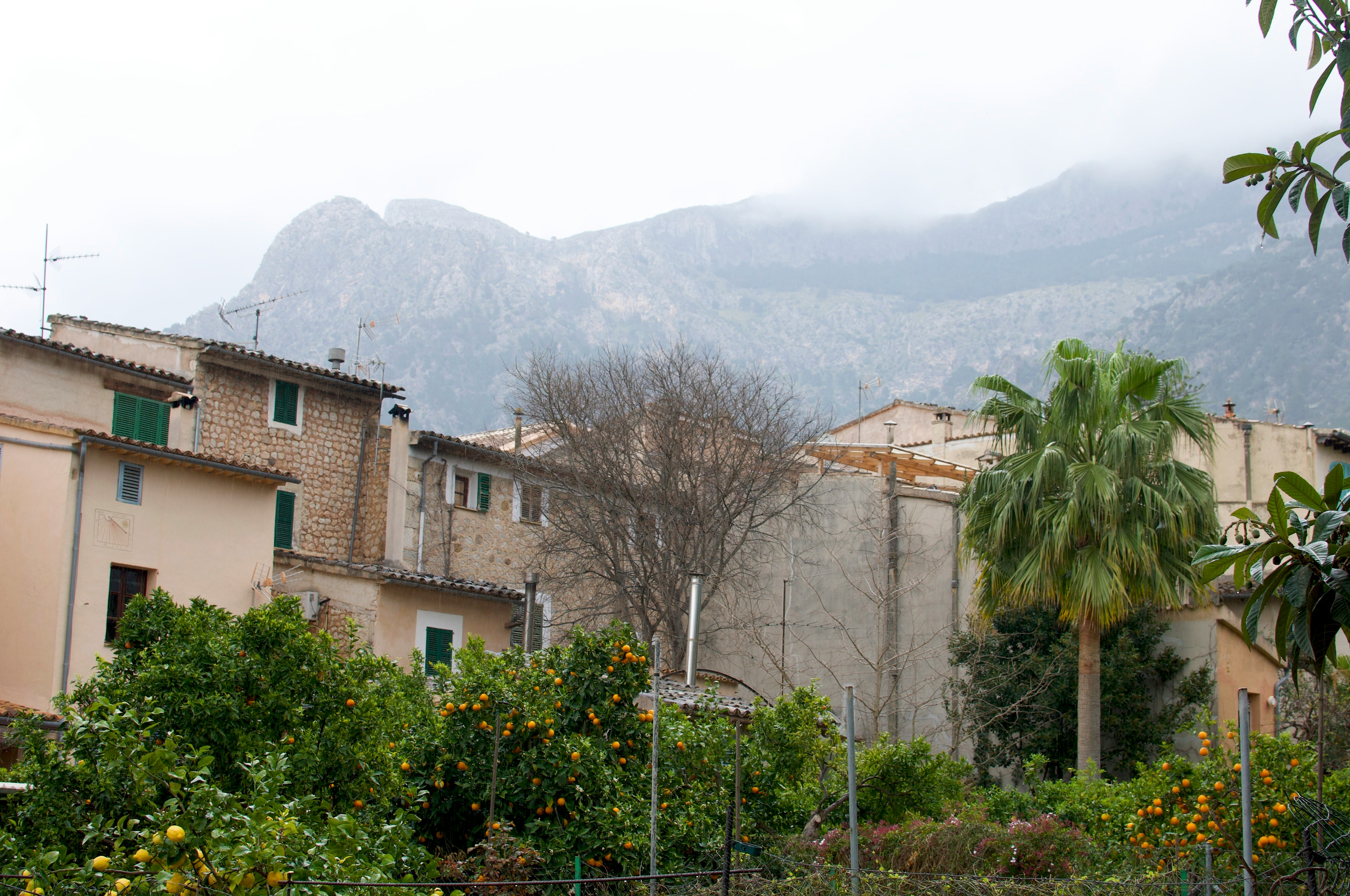 Sóller: A Valley Carved by Time and Tradition