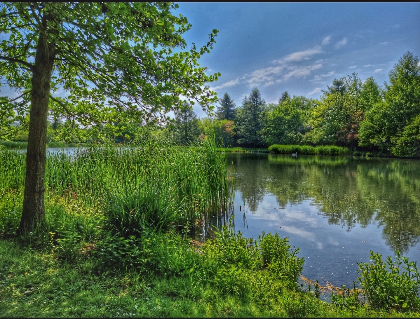️ Parc de l’Églantier