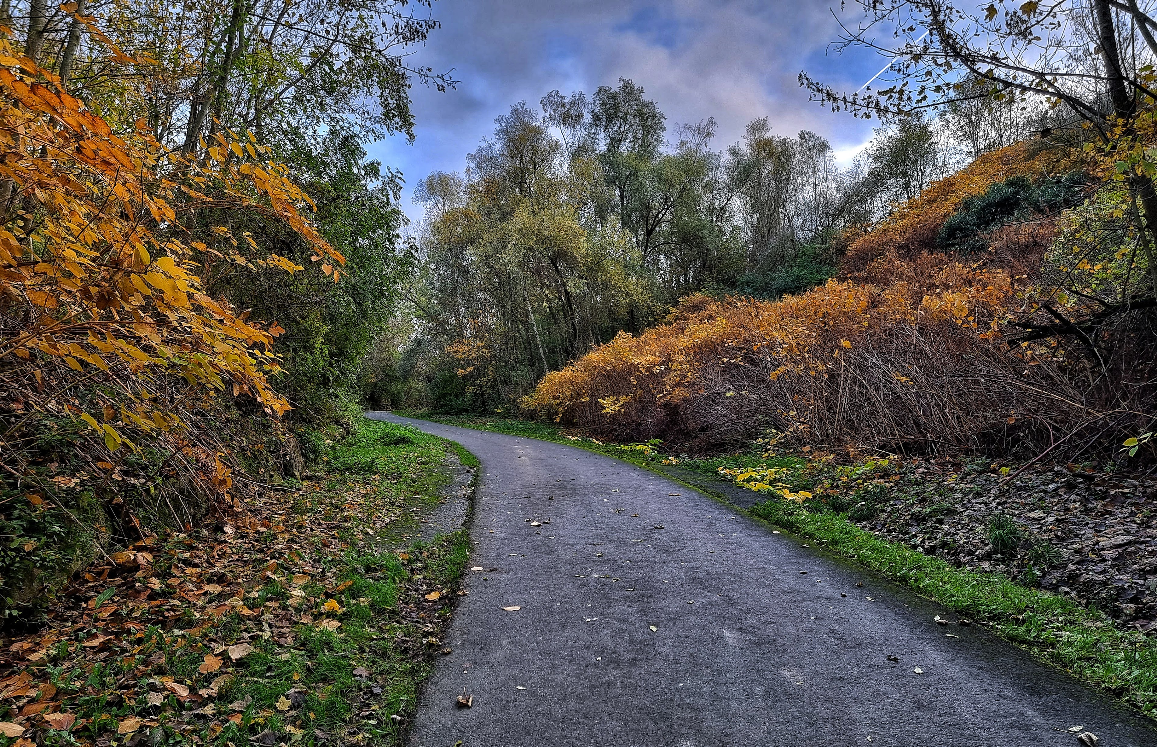 ️ Parc de la patte d’oie