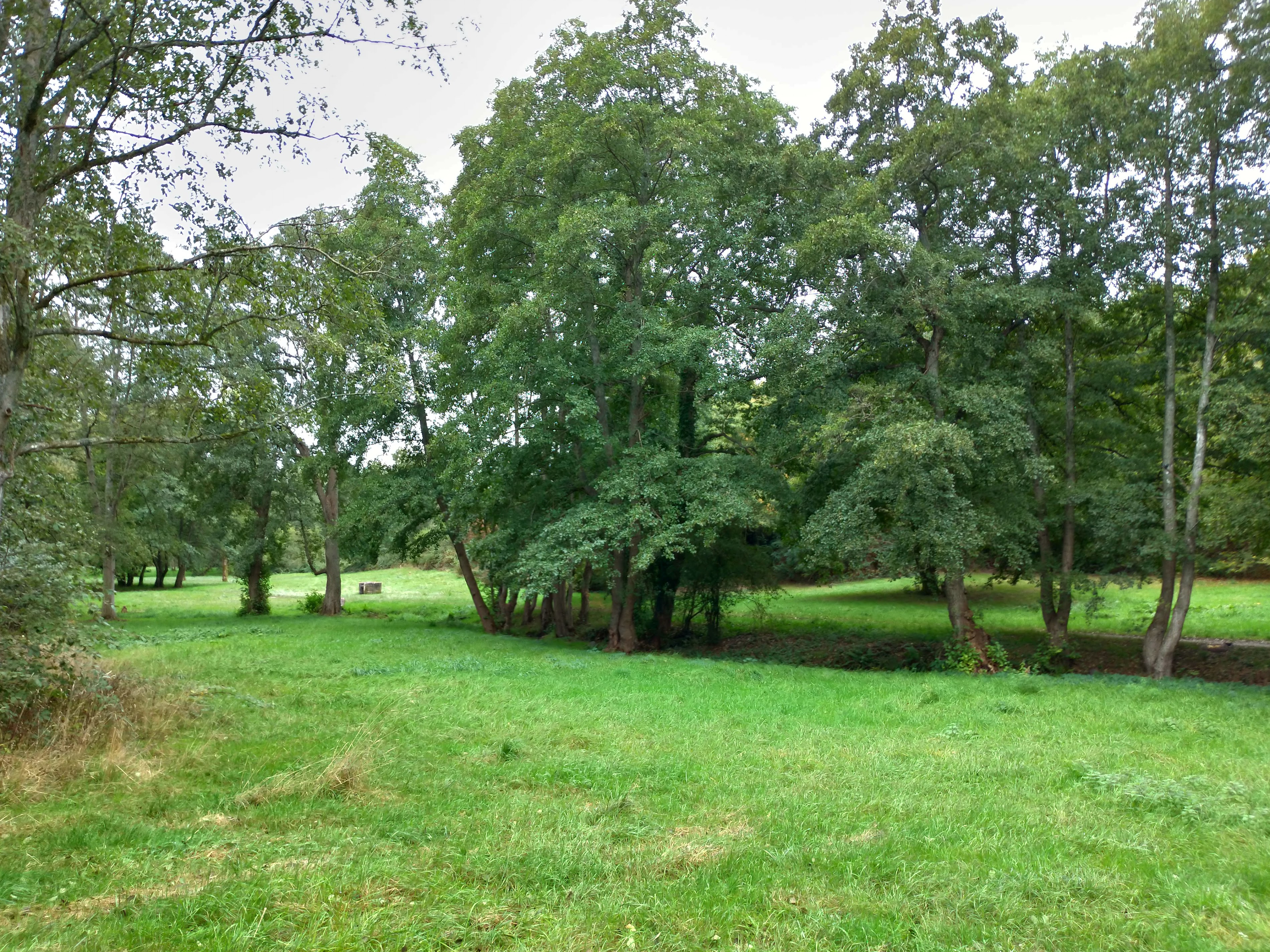 Arboretum de l'étang Garot