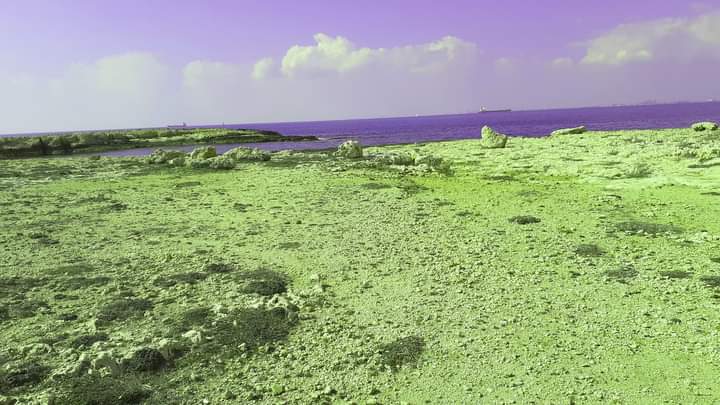 Discovering Autour de Carro entre mer et Garrigue