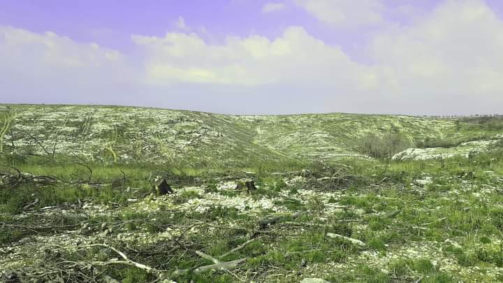 Autour de La Forêt de Martigues: Nature's Embrace