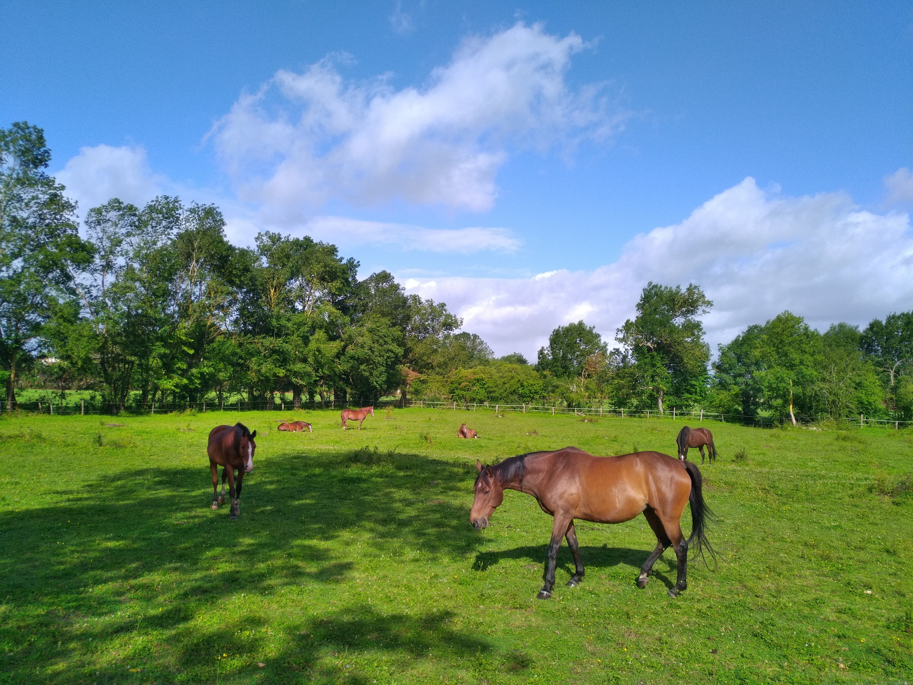 Discovering the Charm of Banc de repos in Saintes