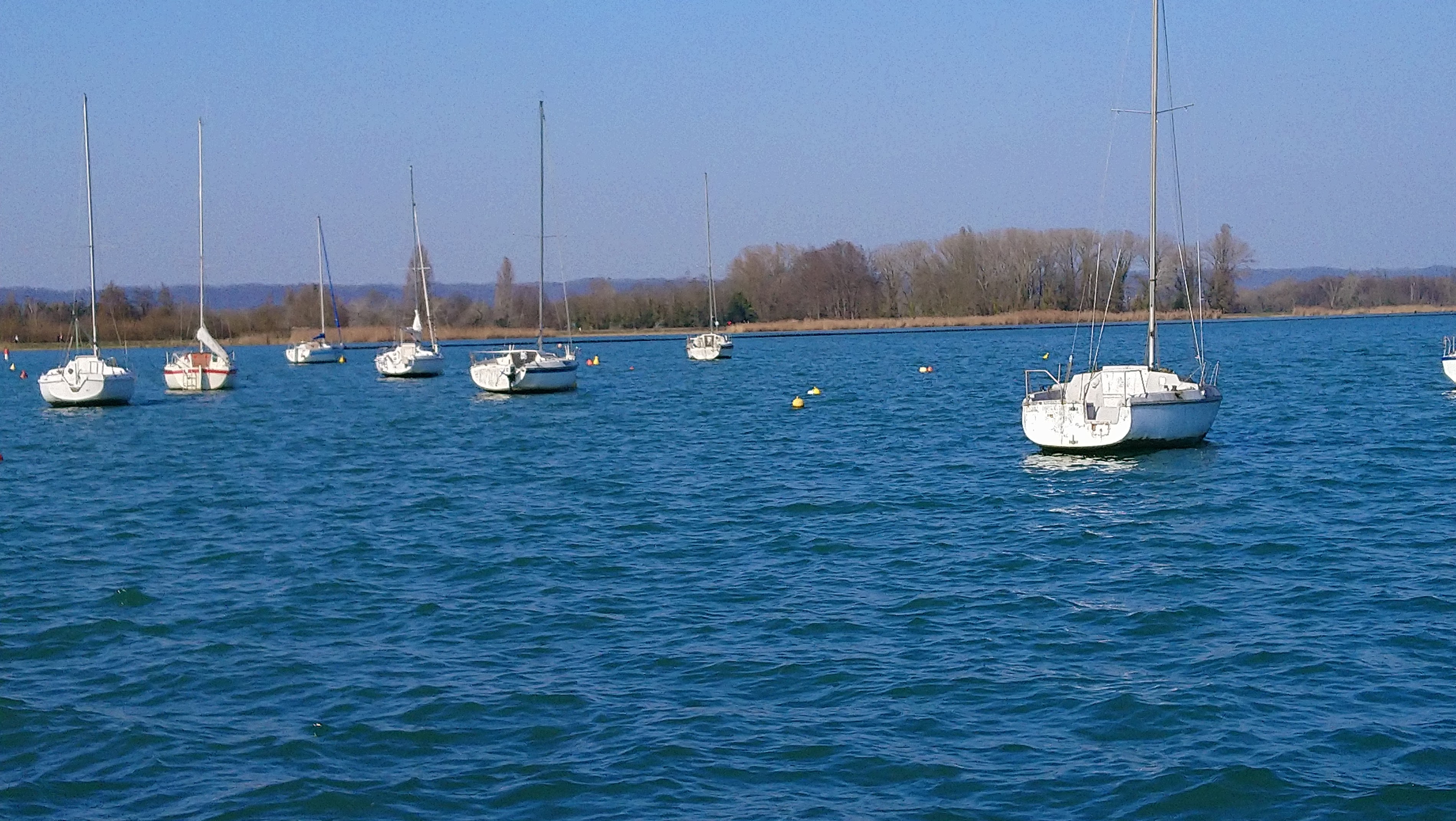 Discovering Bord du lac: Nature's Embrace in Decines-Charpieu