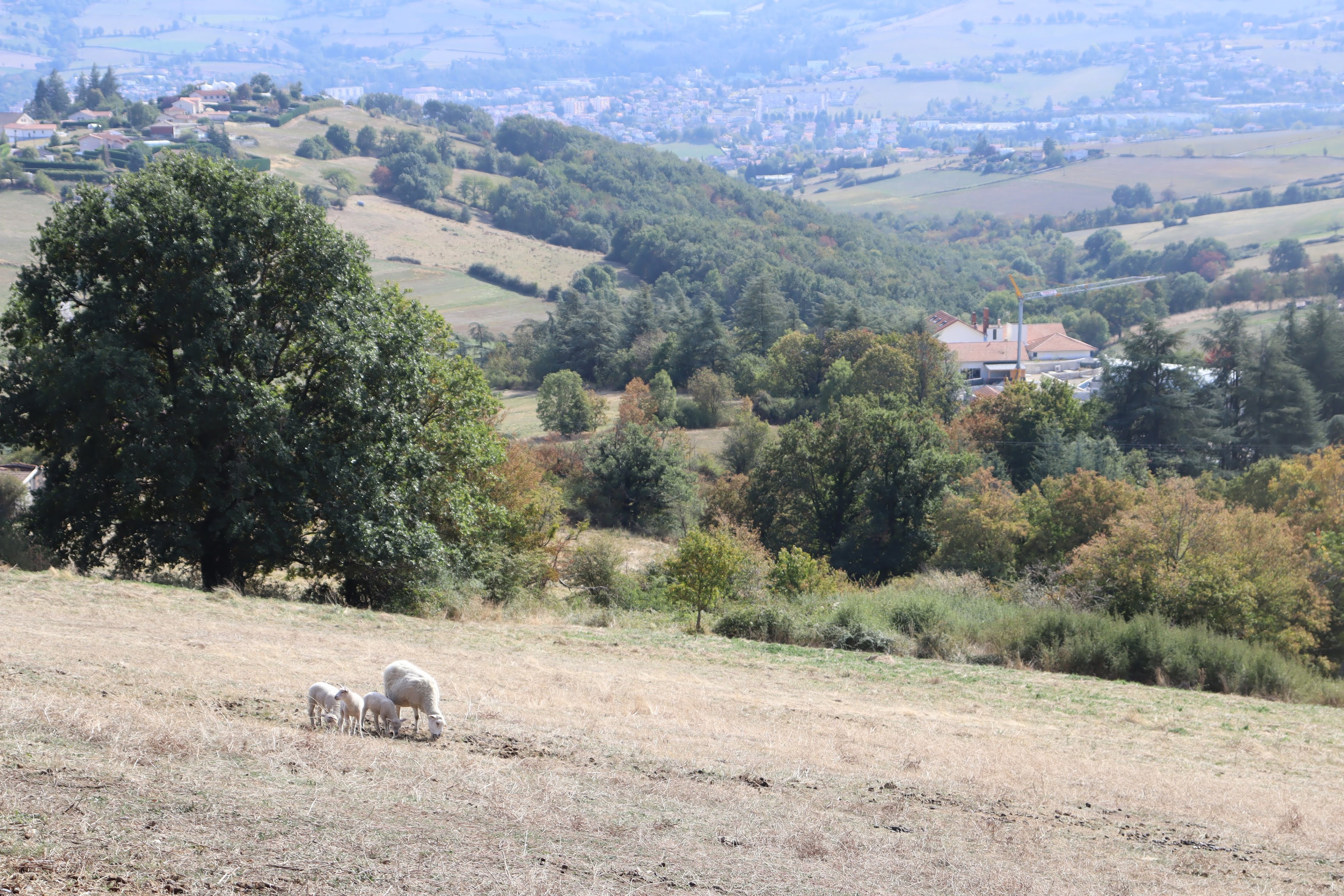 Carcassone