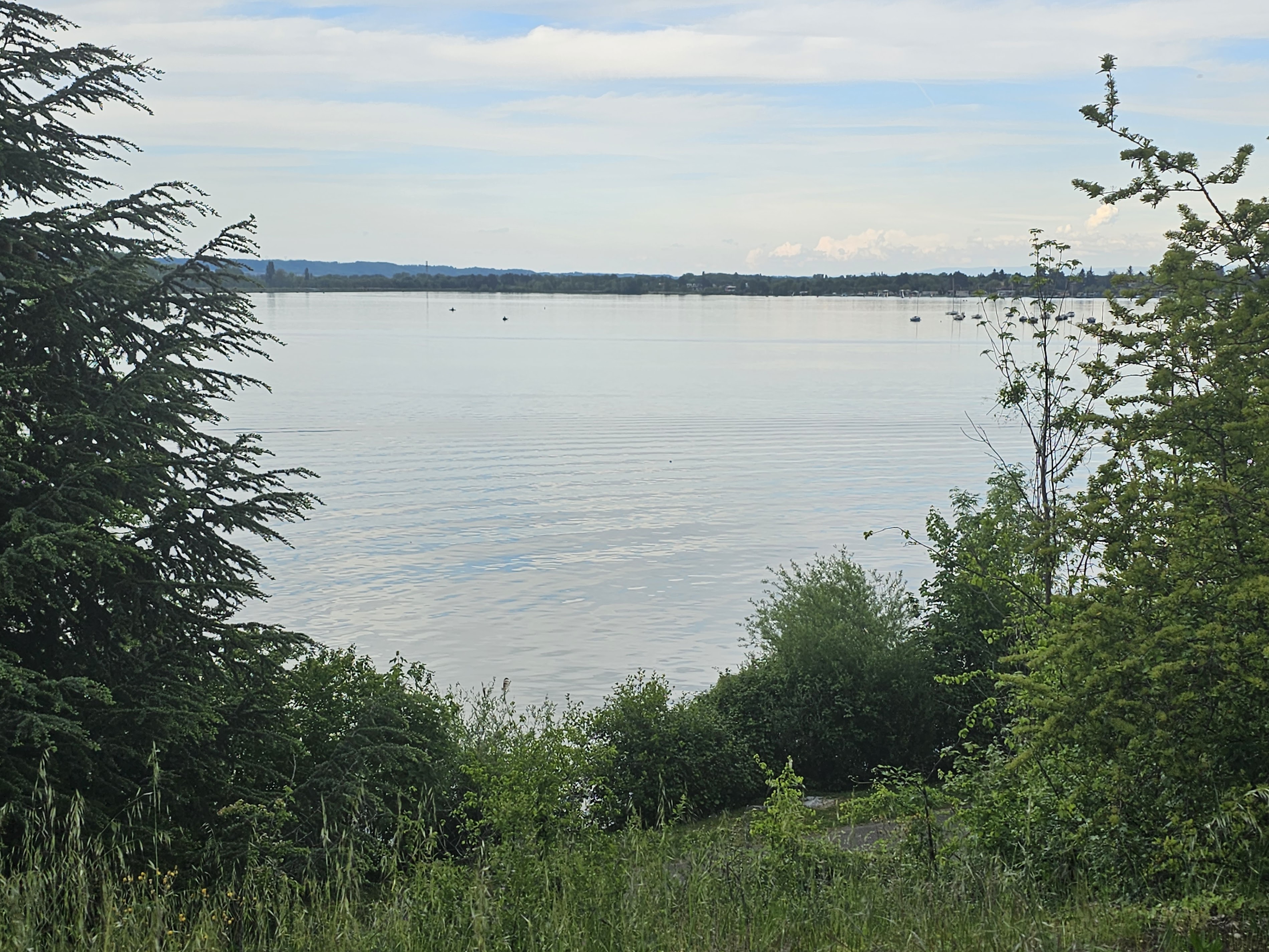 Chemin de halage Décines-Charpieu: A Scenic Retreat