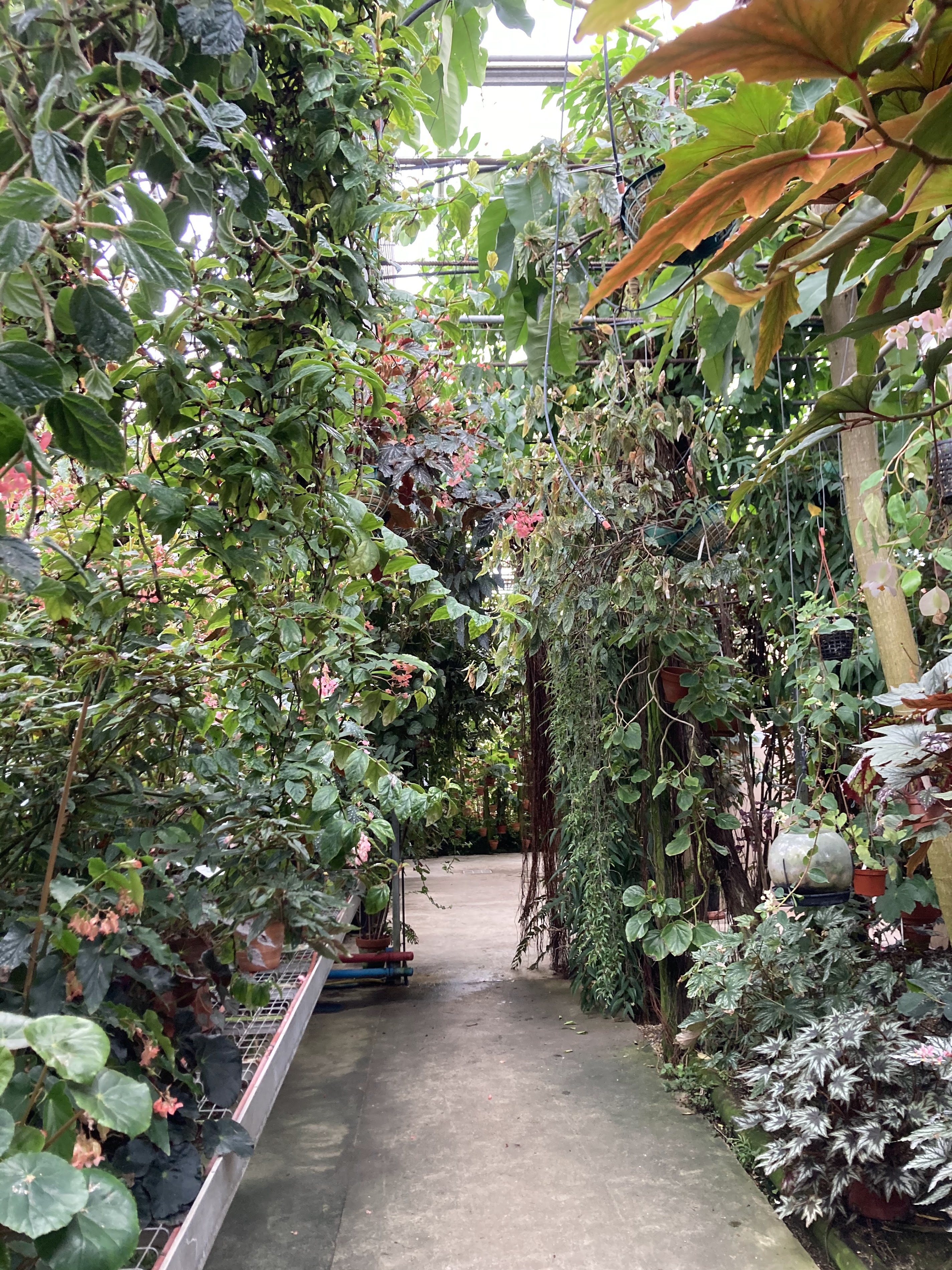 Discovering Rochefort: A Gem of Nature and History