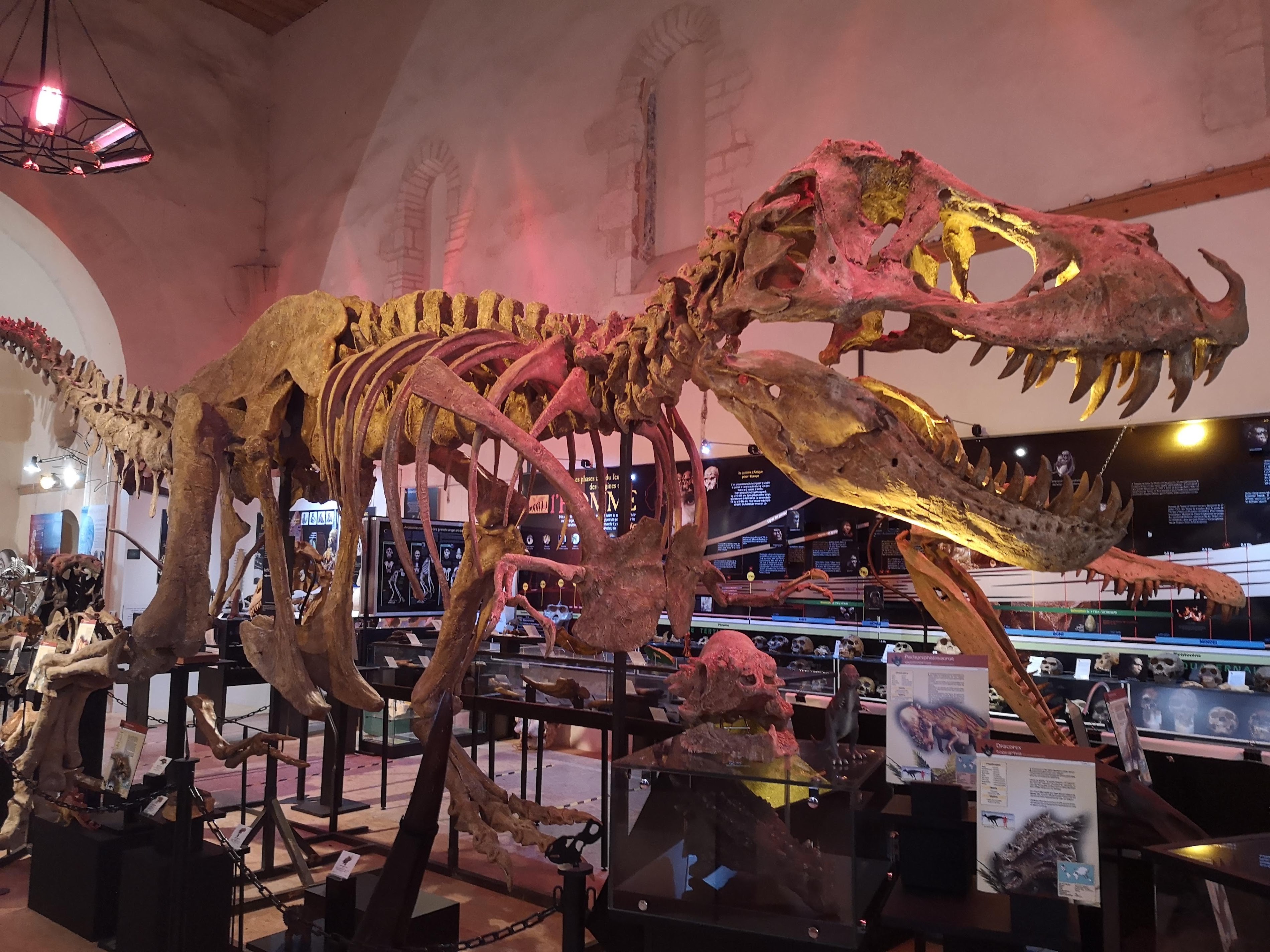 Espace Cristal Gaïa: A Journey Through Glass Art