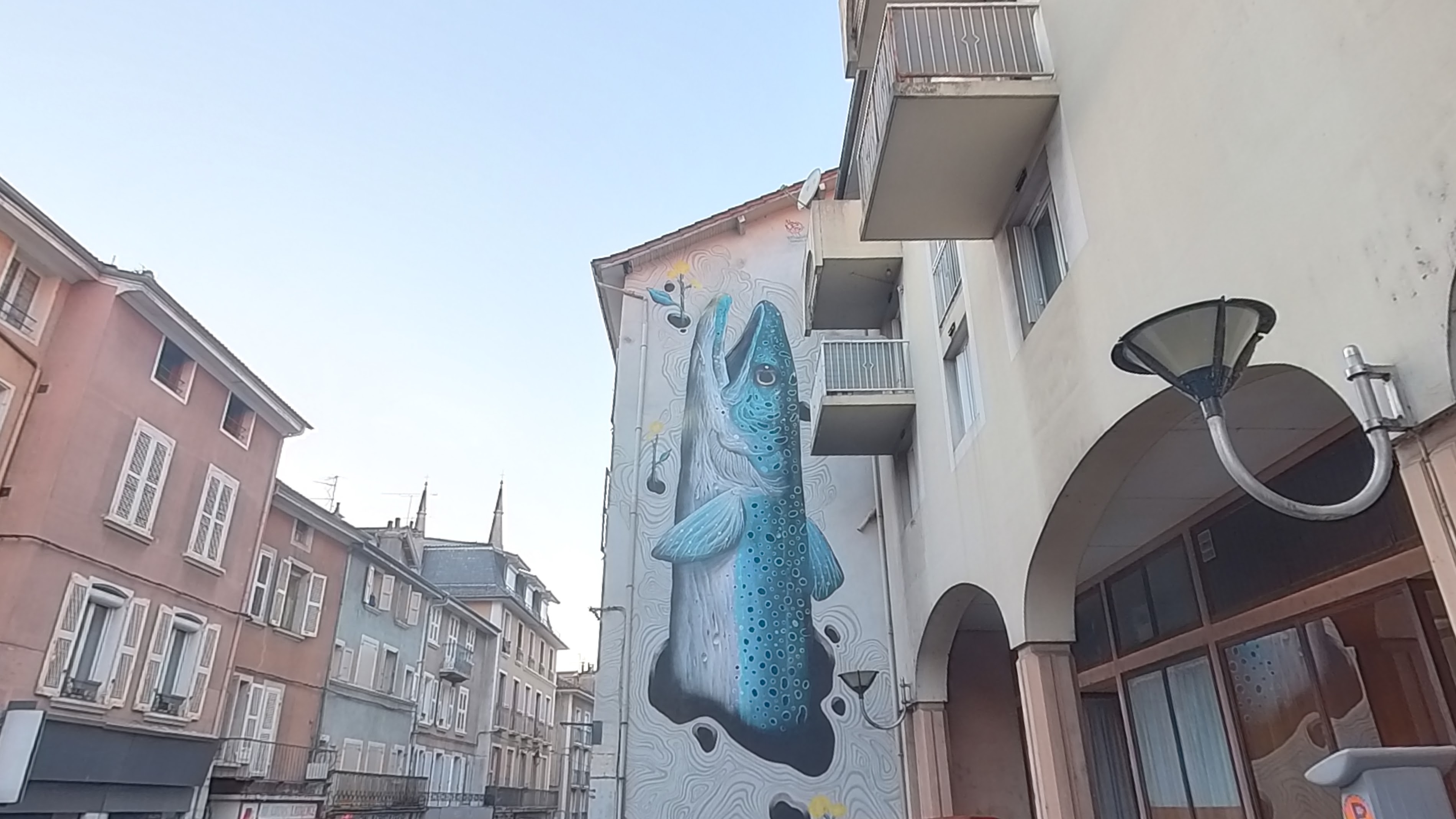 Fresques Poisson - Veks van Hillik