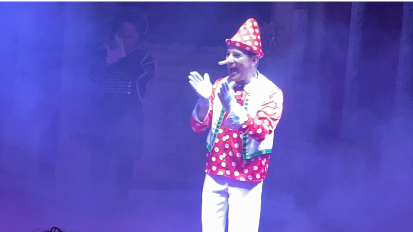 Il circo di pinocchio