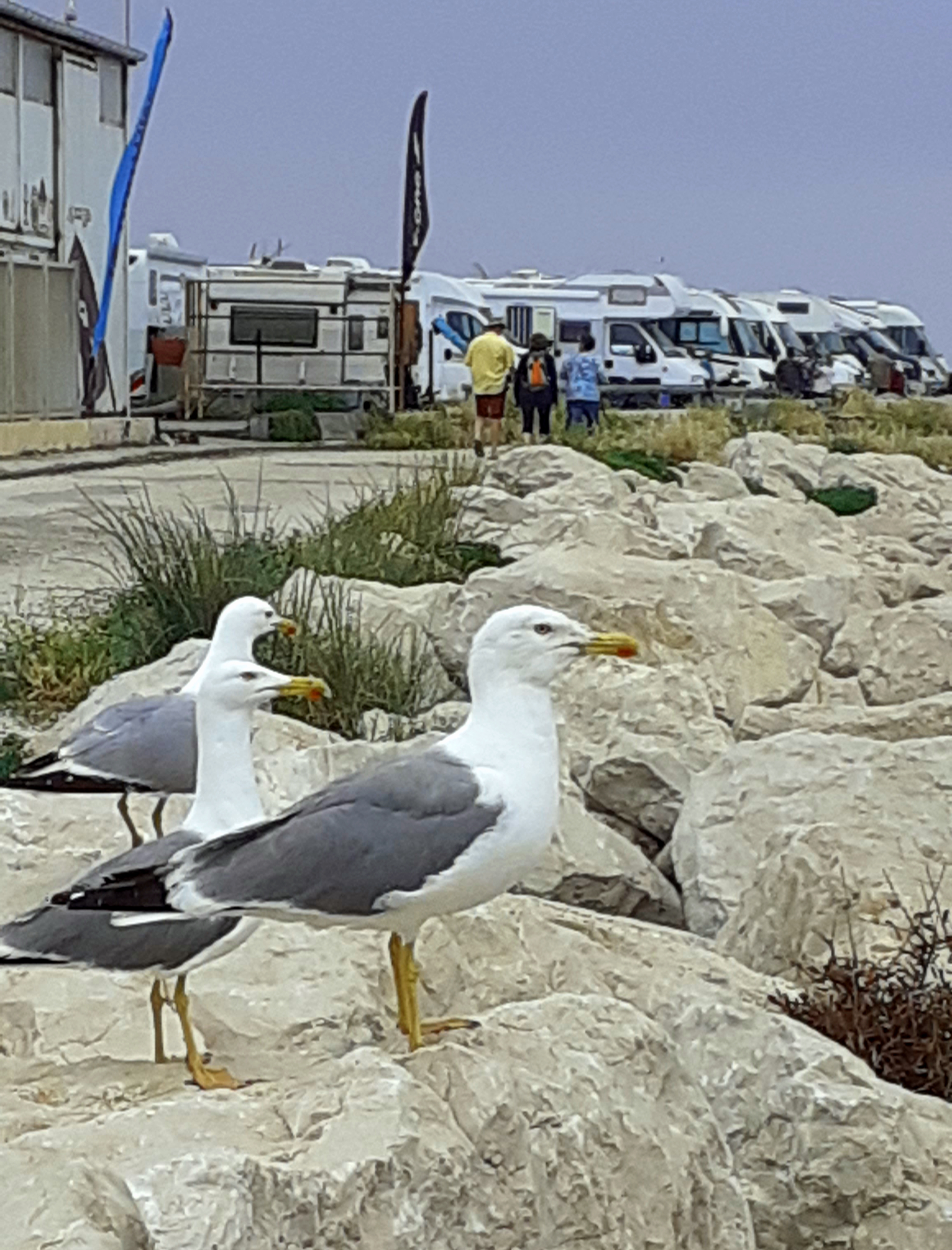 Discovering La Côte de Carro: A Coastal Gem in Martigues