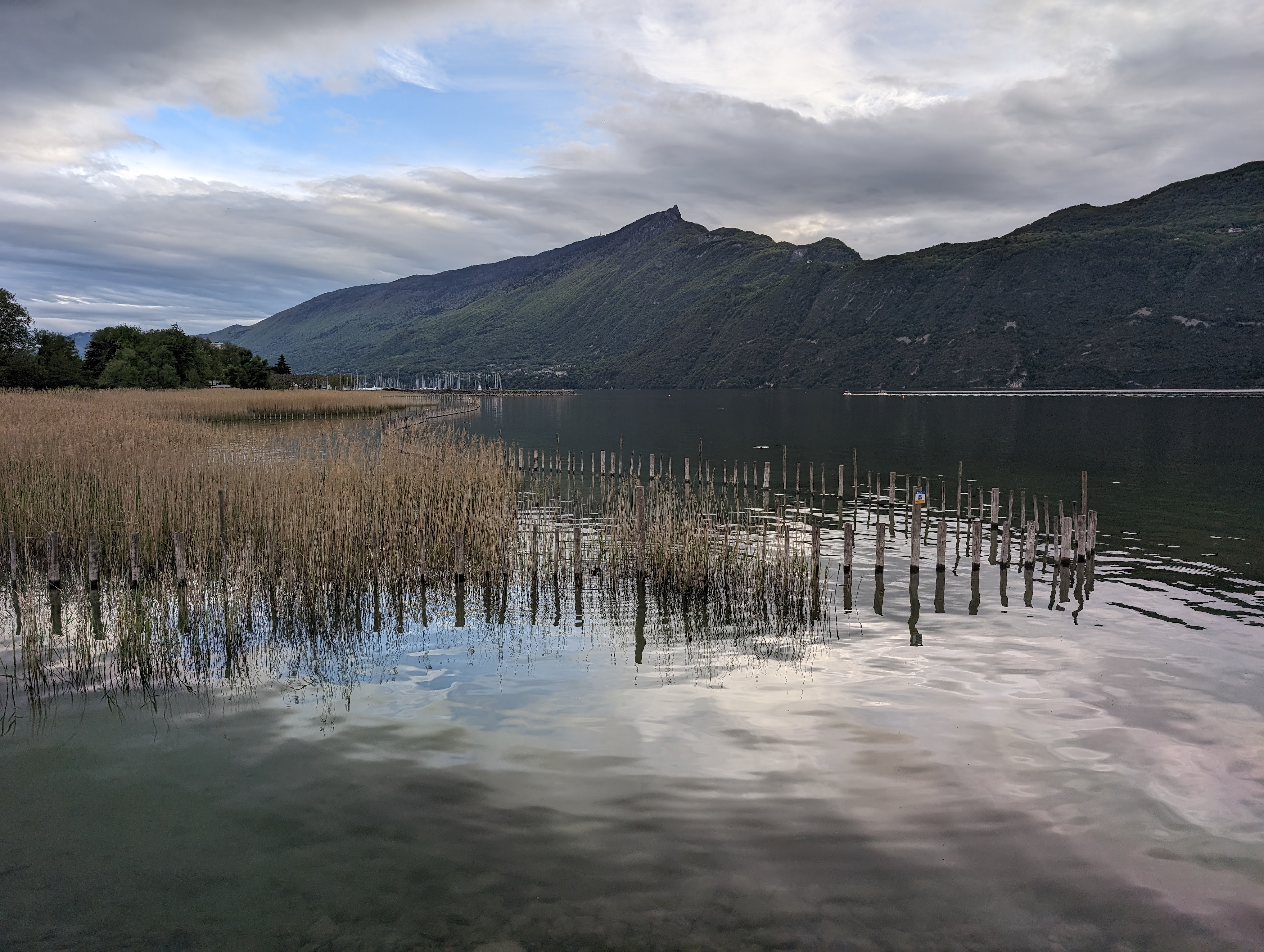 La Roselière Du Lac