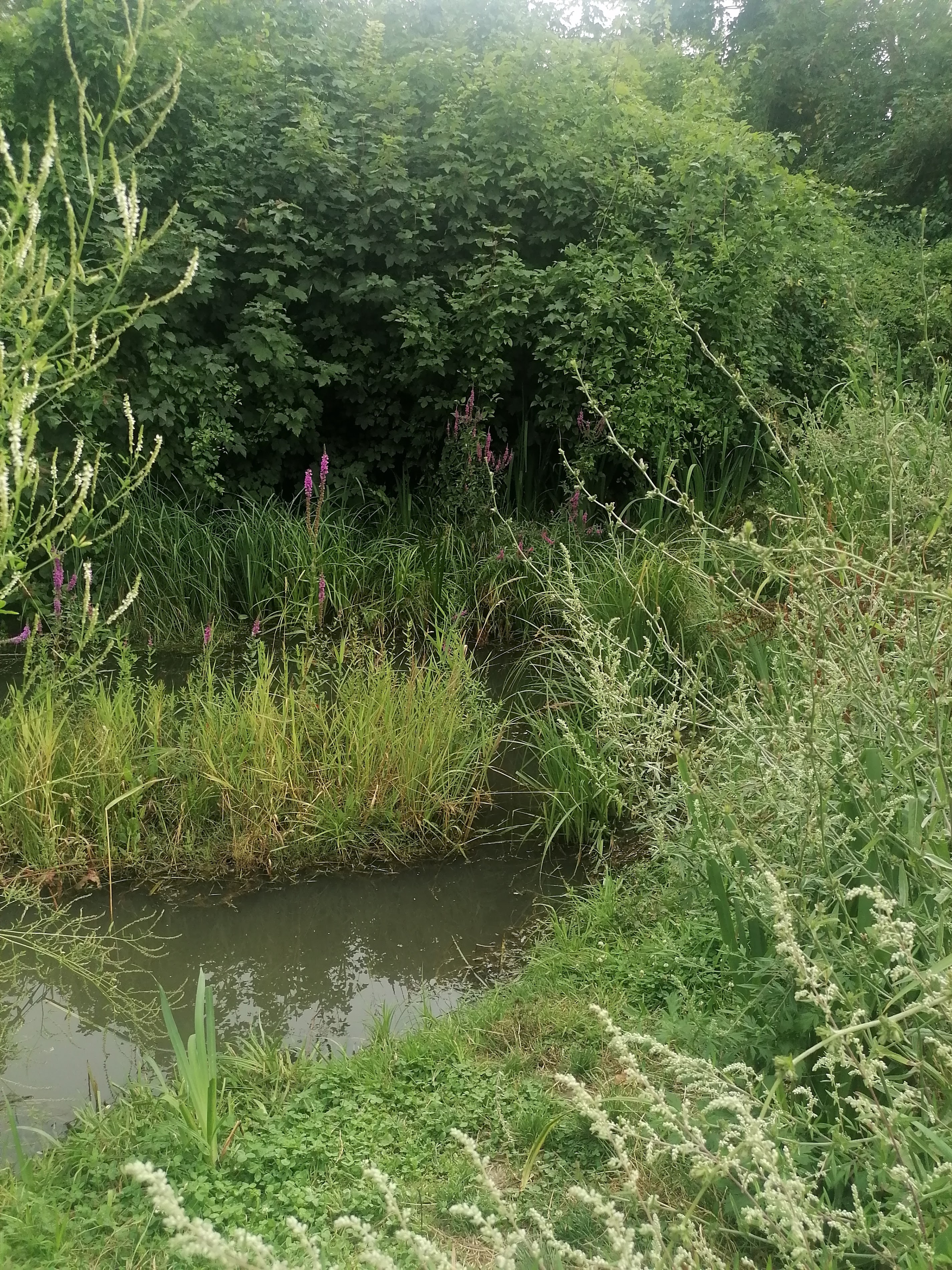 Les Sources de Montmorency