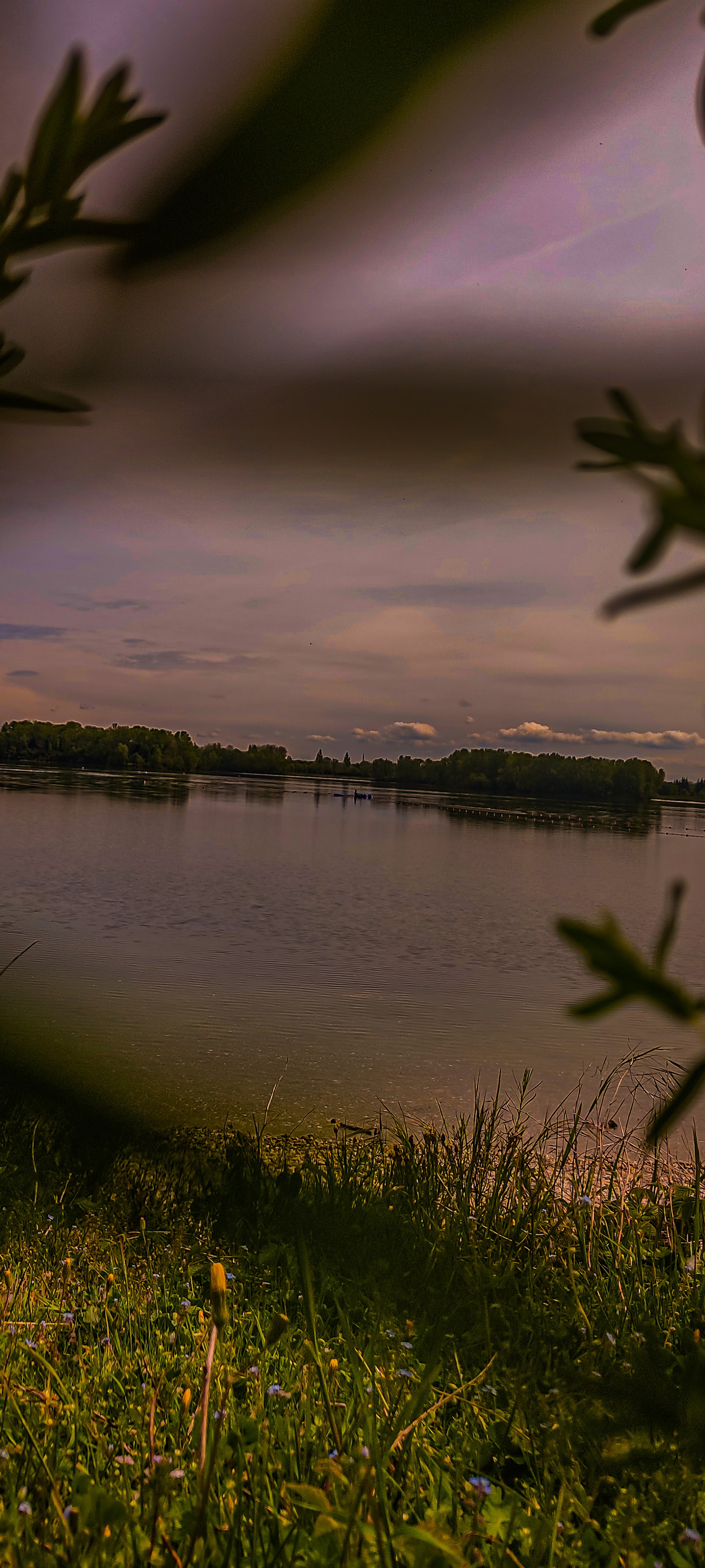 Miribel Terrain d' Eveil: A Family-Friendly Oasis in Decines-Charpieu