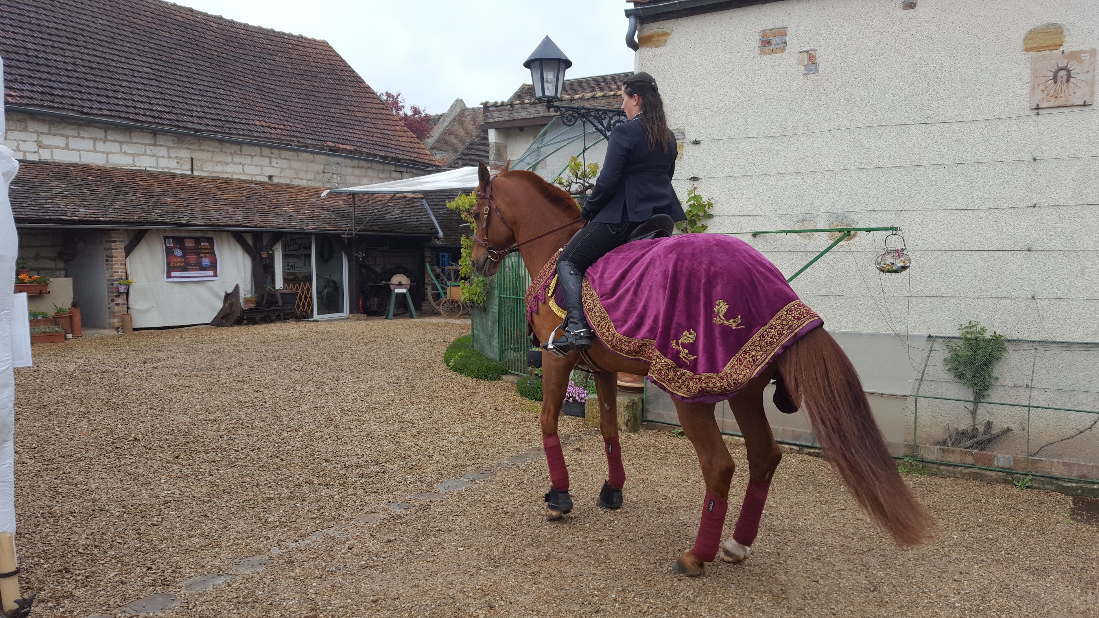 Musée de la Maréchalerie et du Charronnage: A Journey into Craftsmanship