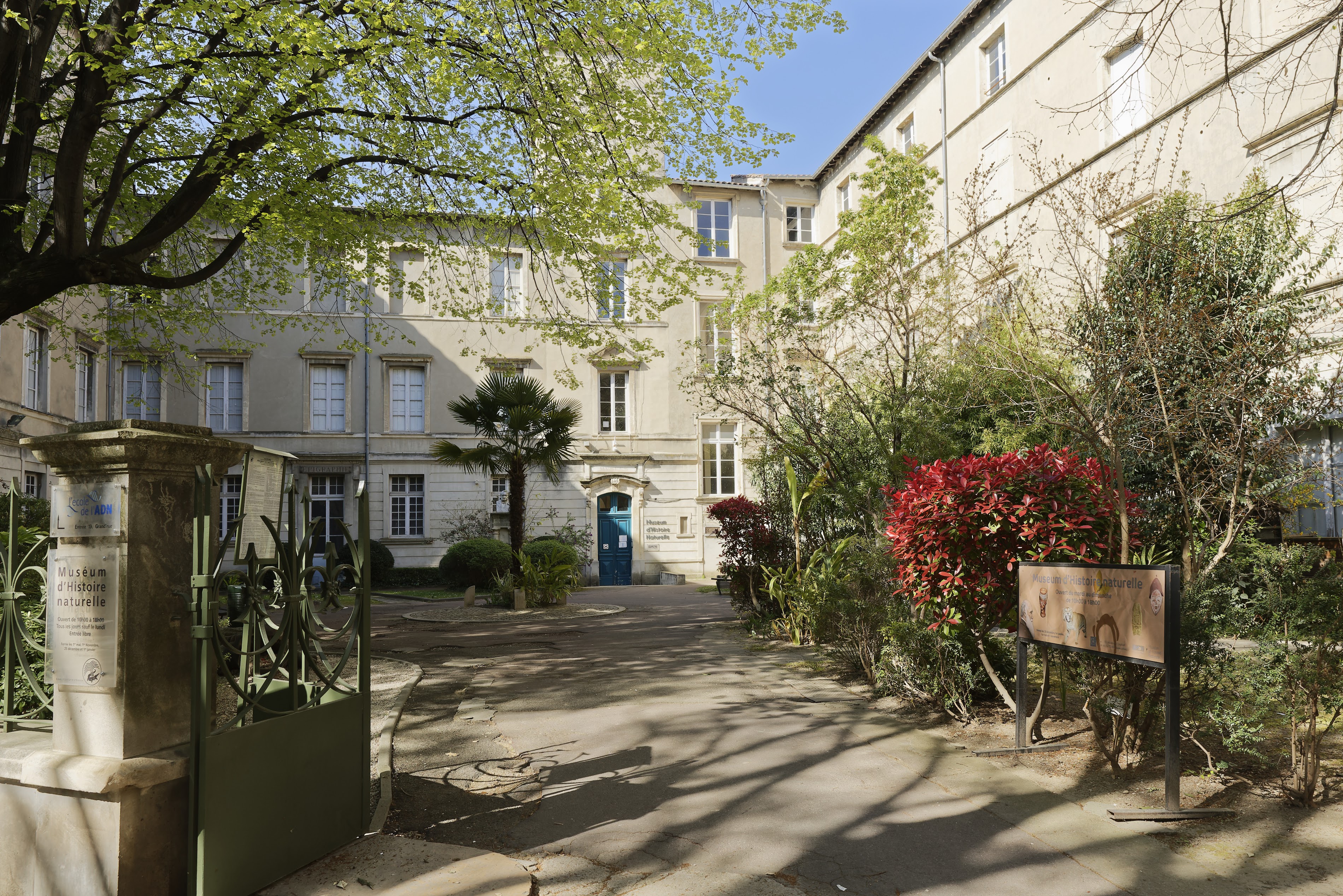 Muséum d'histoire naturelle de Nîmes