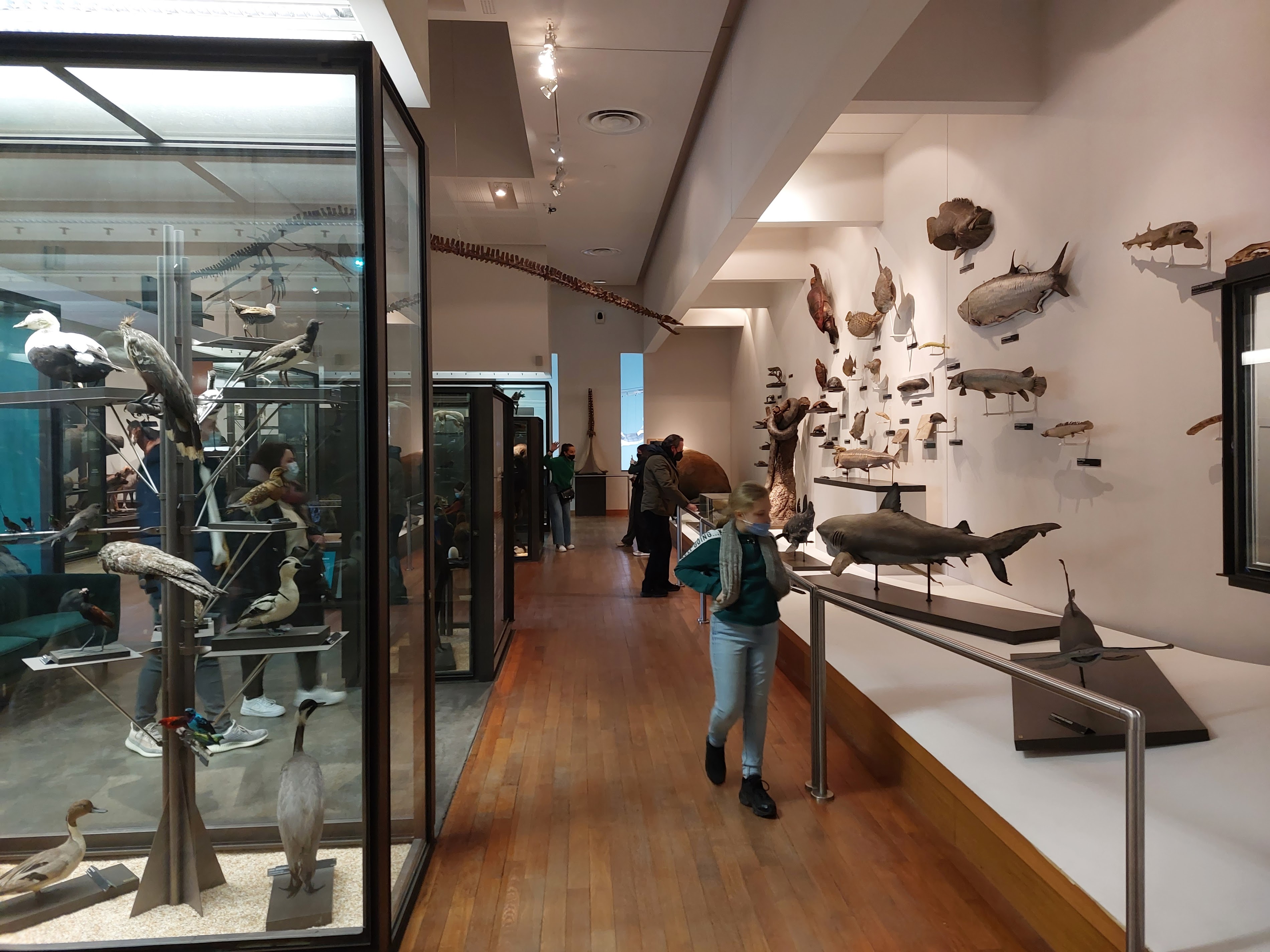 Nancy Museum-Aquarium