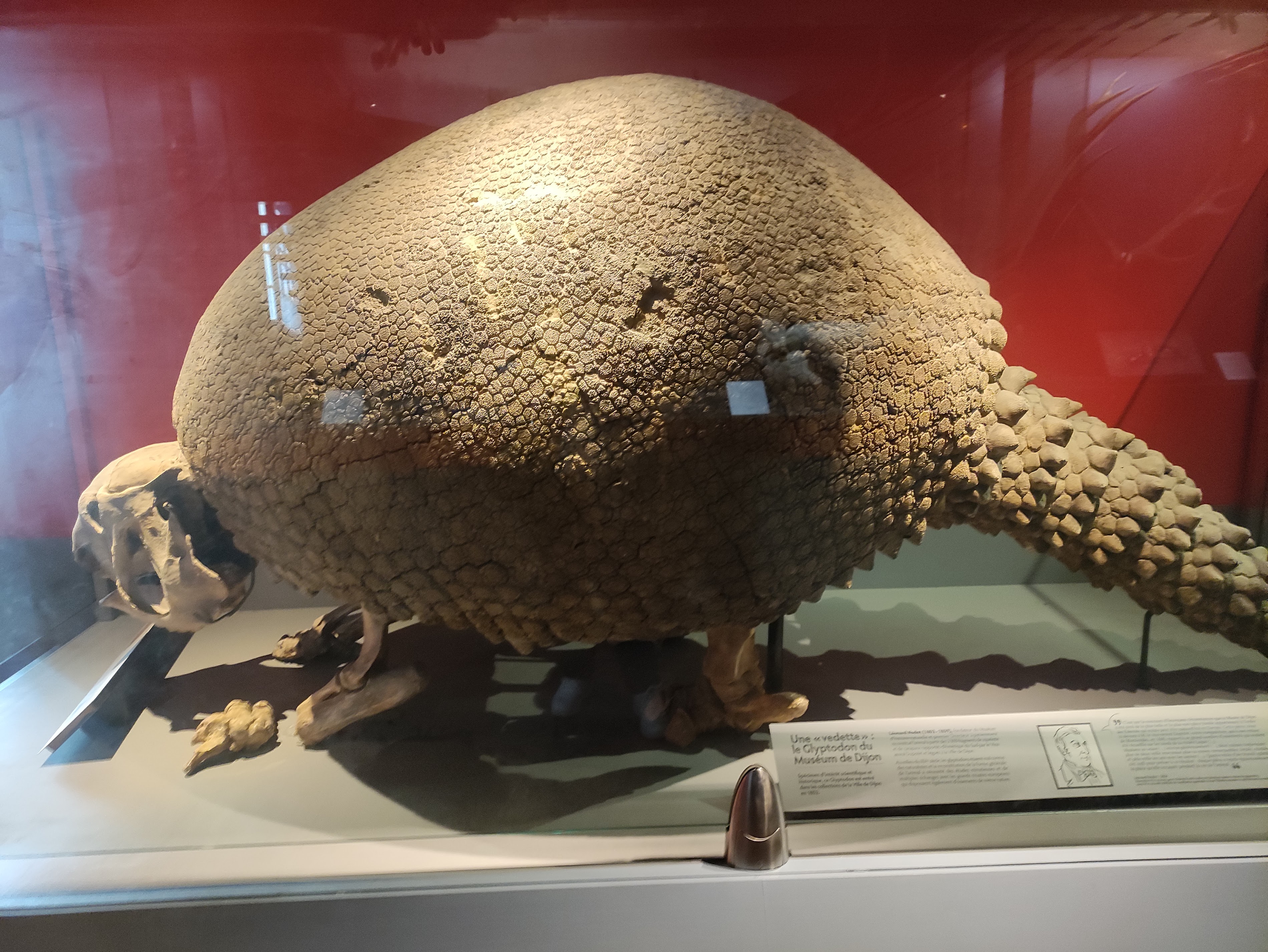 Natural History Museum