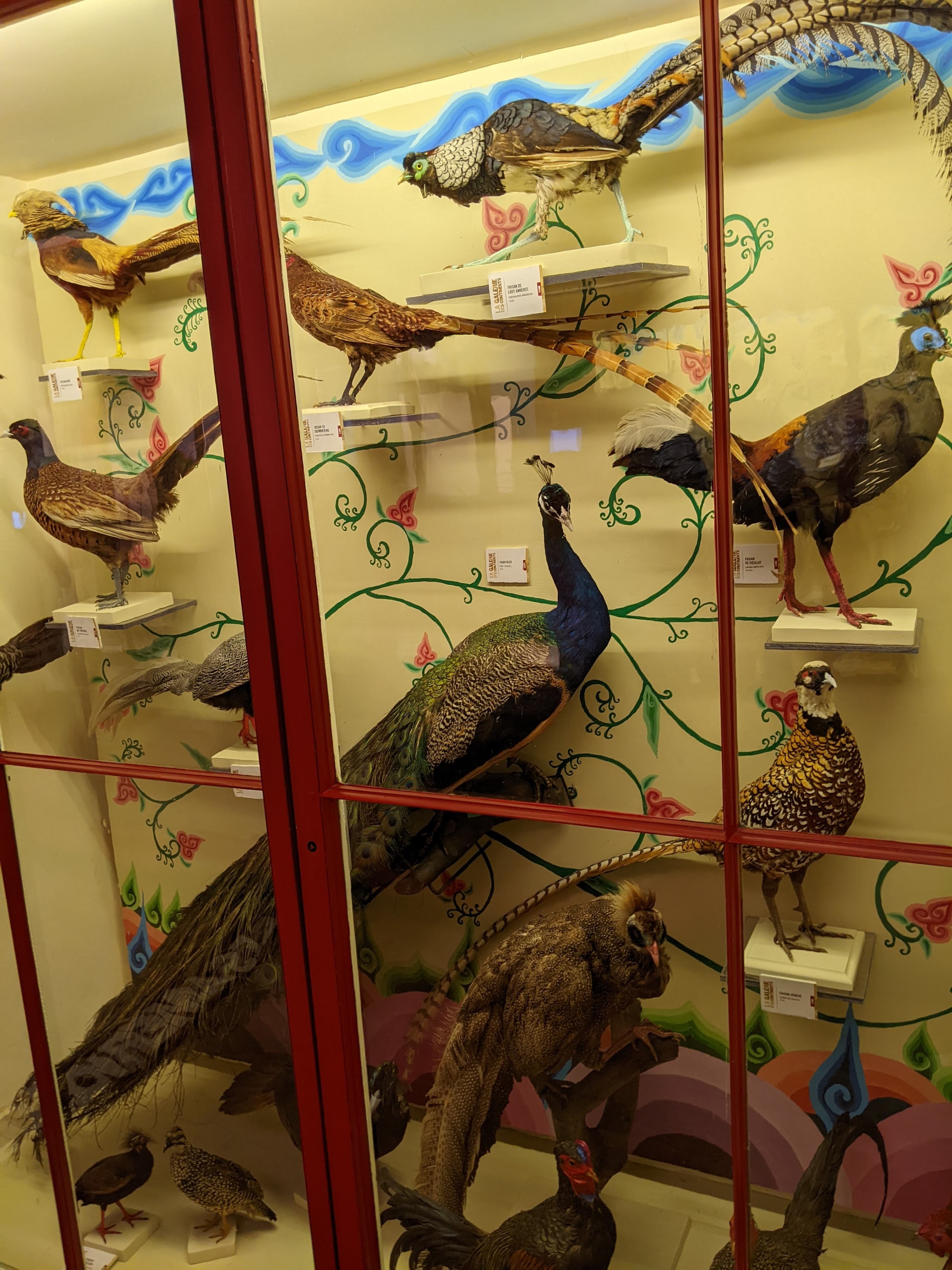 Natural History Museum