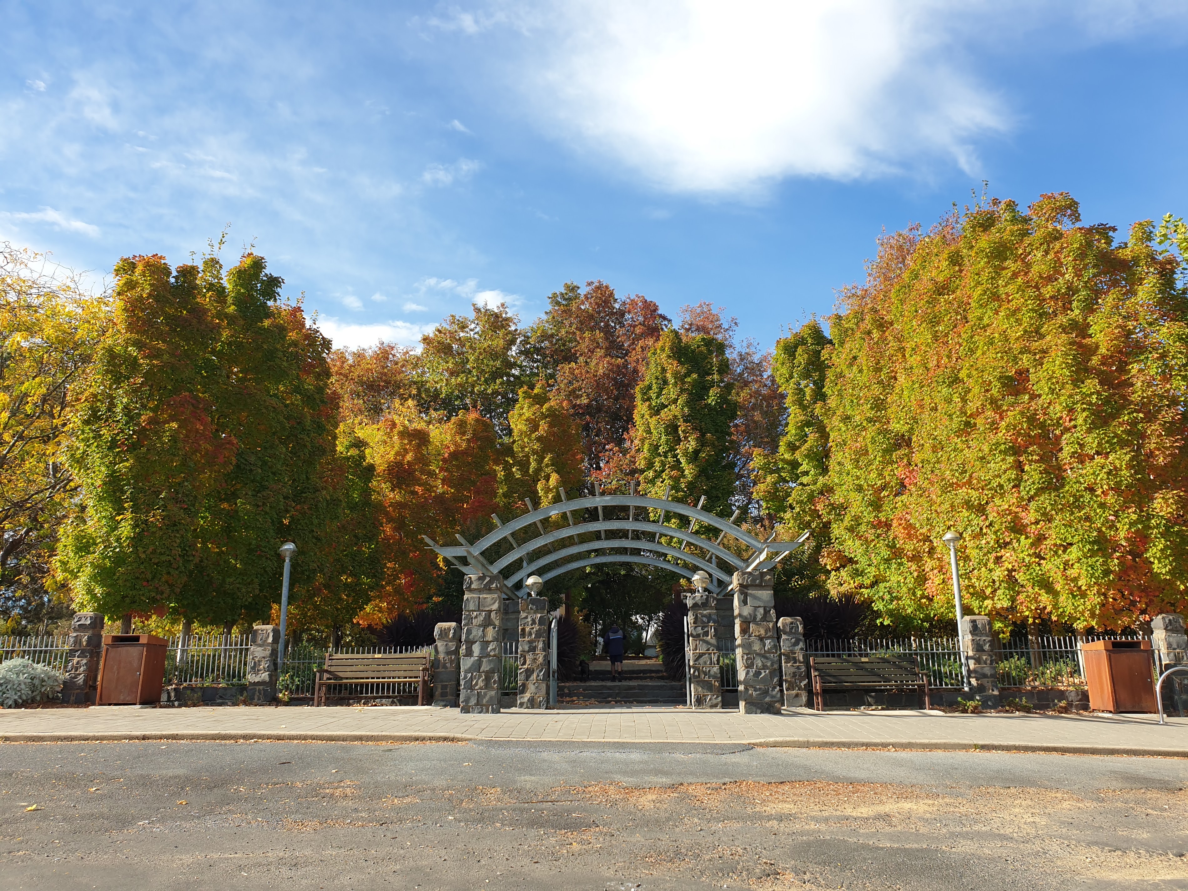 Orange: A Floral Paradise Awaits