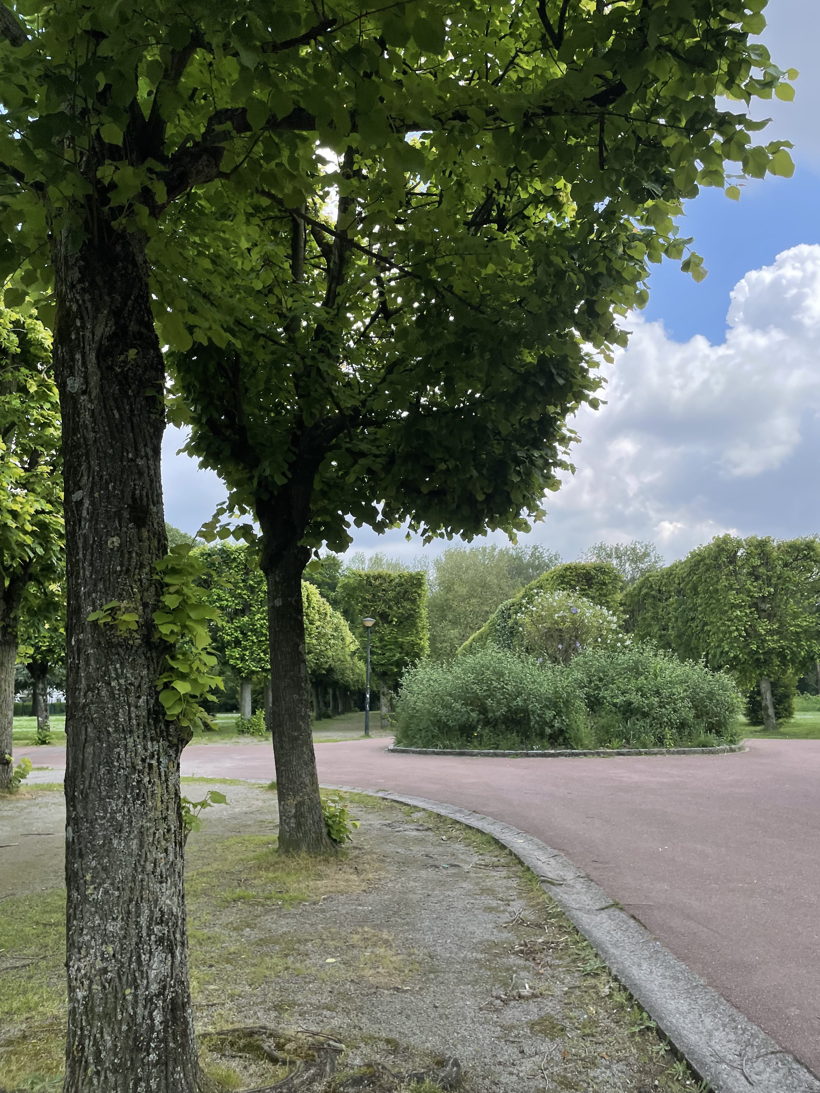 Paix Garden