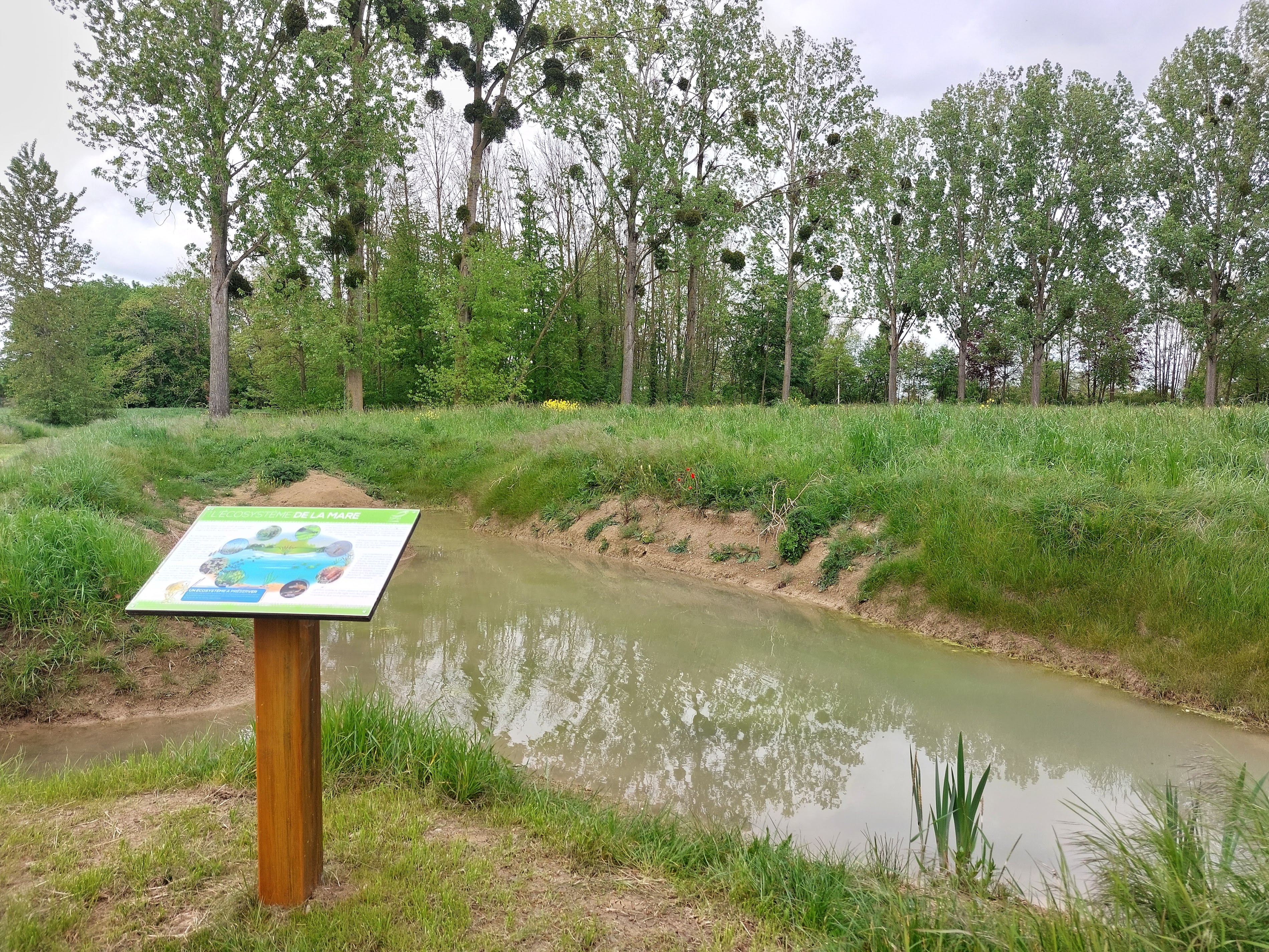 Parc écologique des grévières