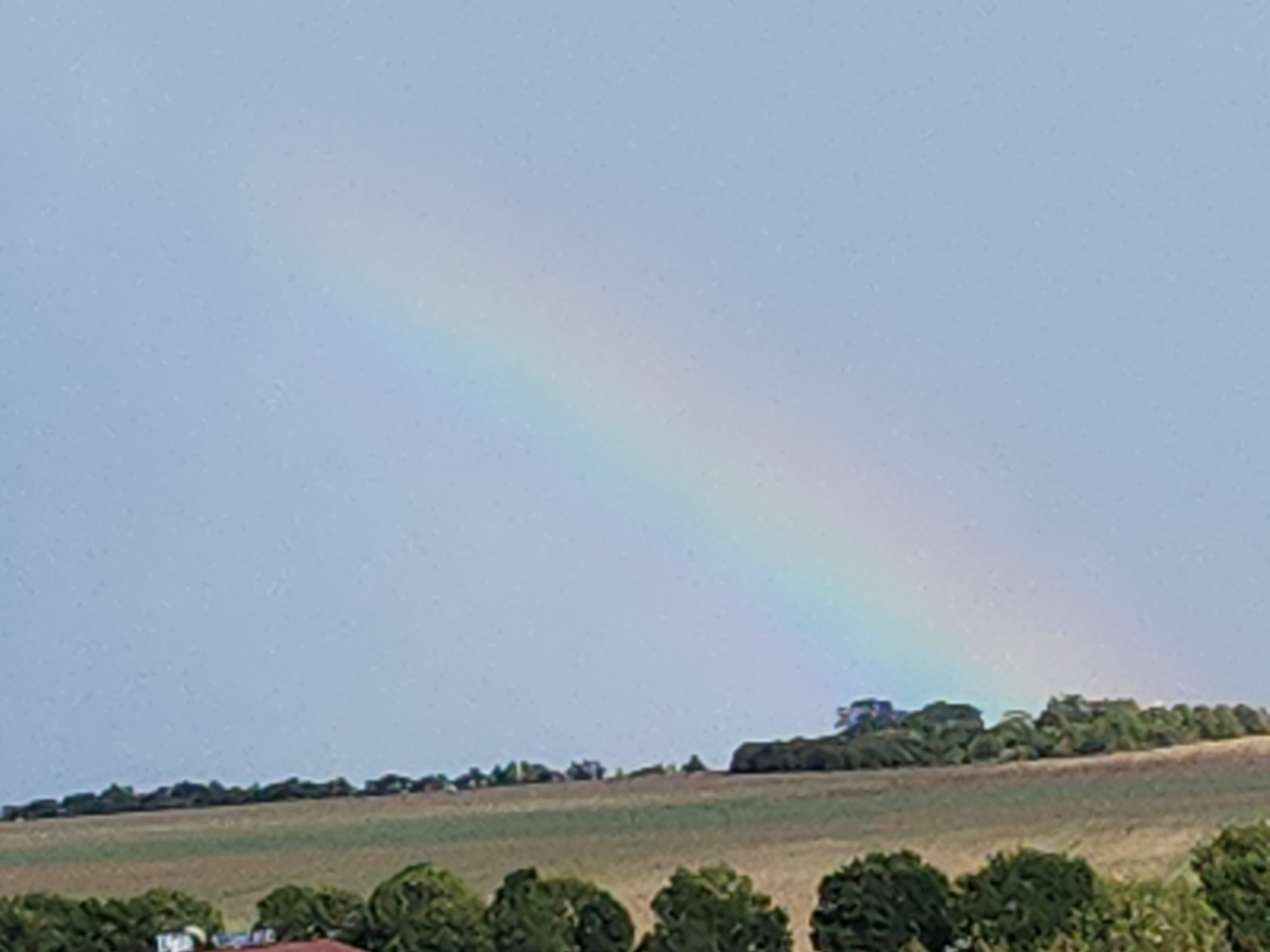Parc de la Patte d'Oie