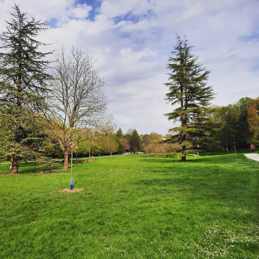 Parc des Arènes: A Journey Through History and Nature