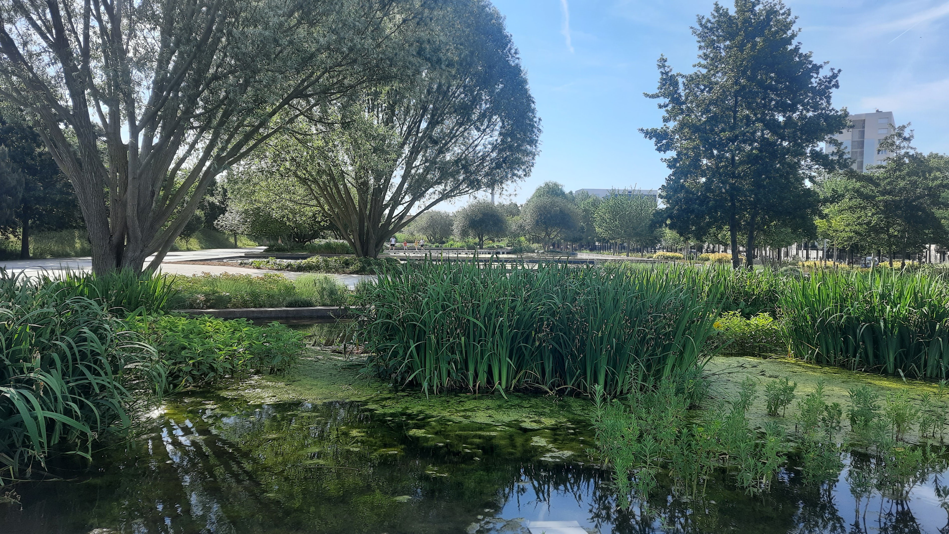 Parc du Chemin de l'İle